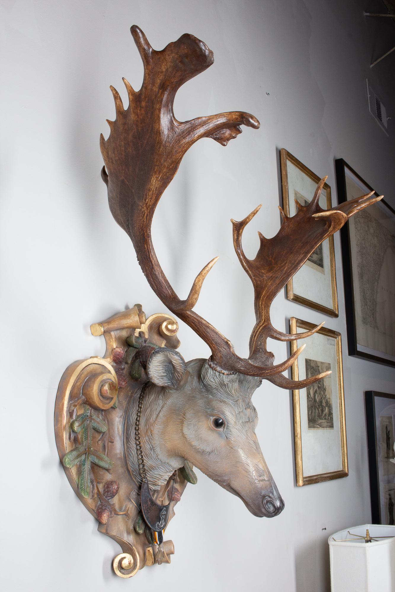 Hand-Carved Fallow Deer with Antique Habsburg Antlers from Eckartsau Castle 11