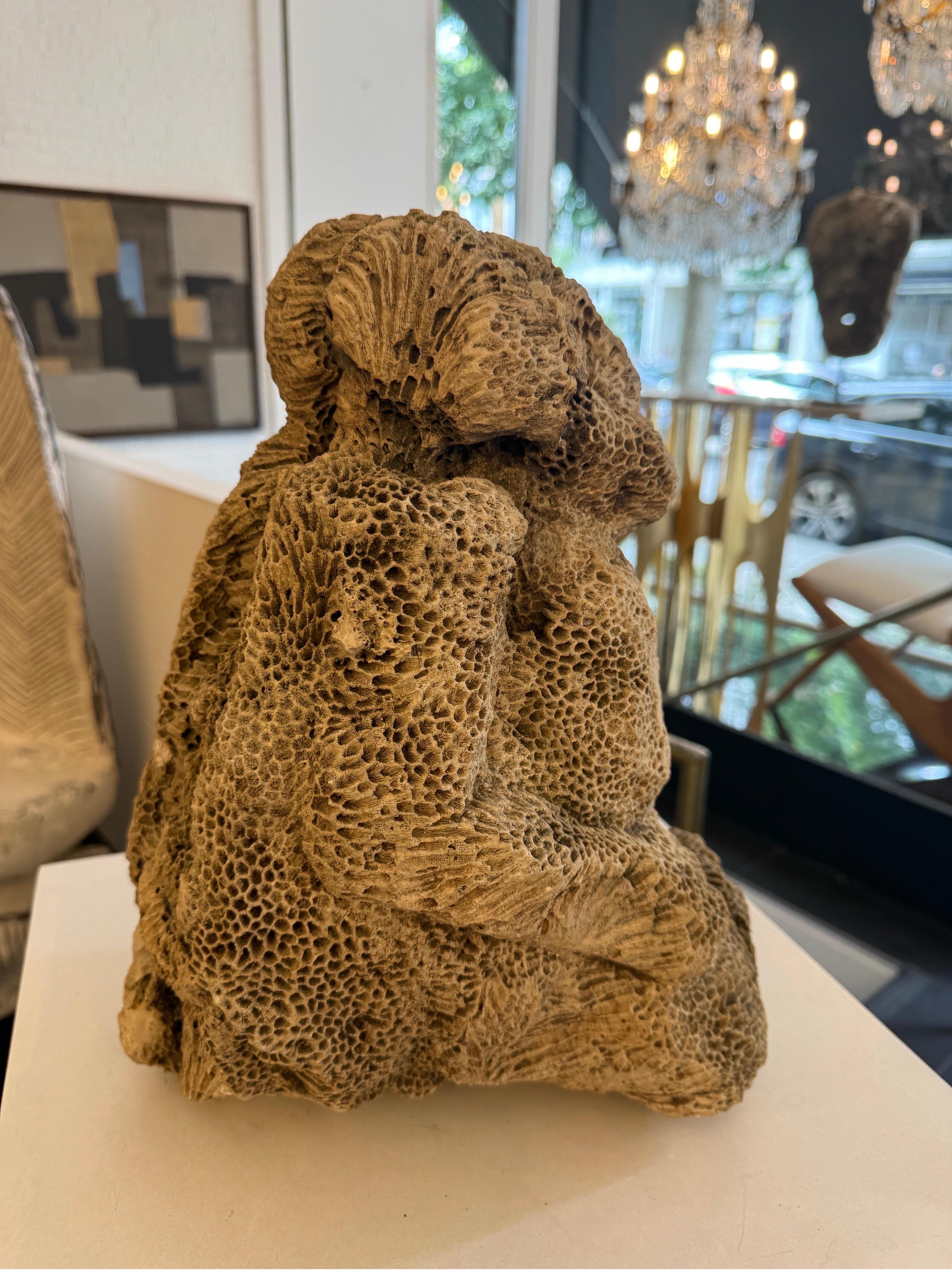 Natural brain coral in the form of a sitting monkey In Good Condition For Sale In London, GB