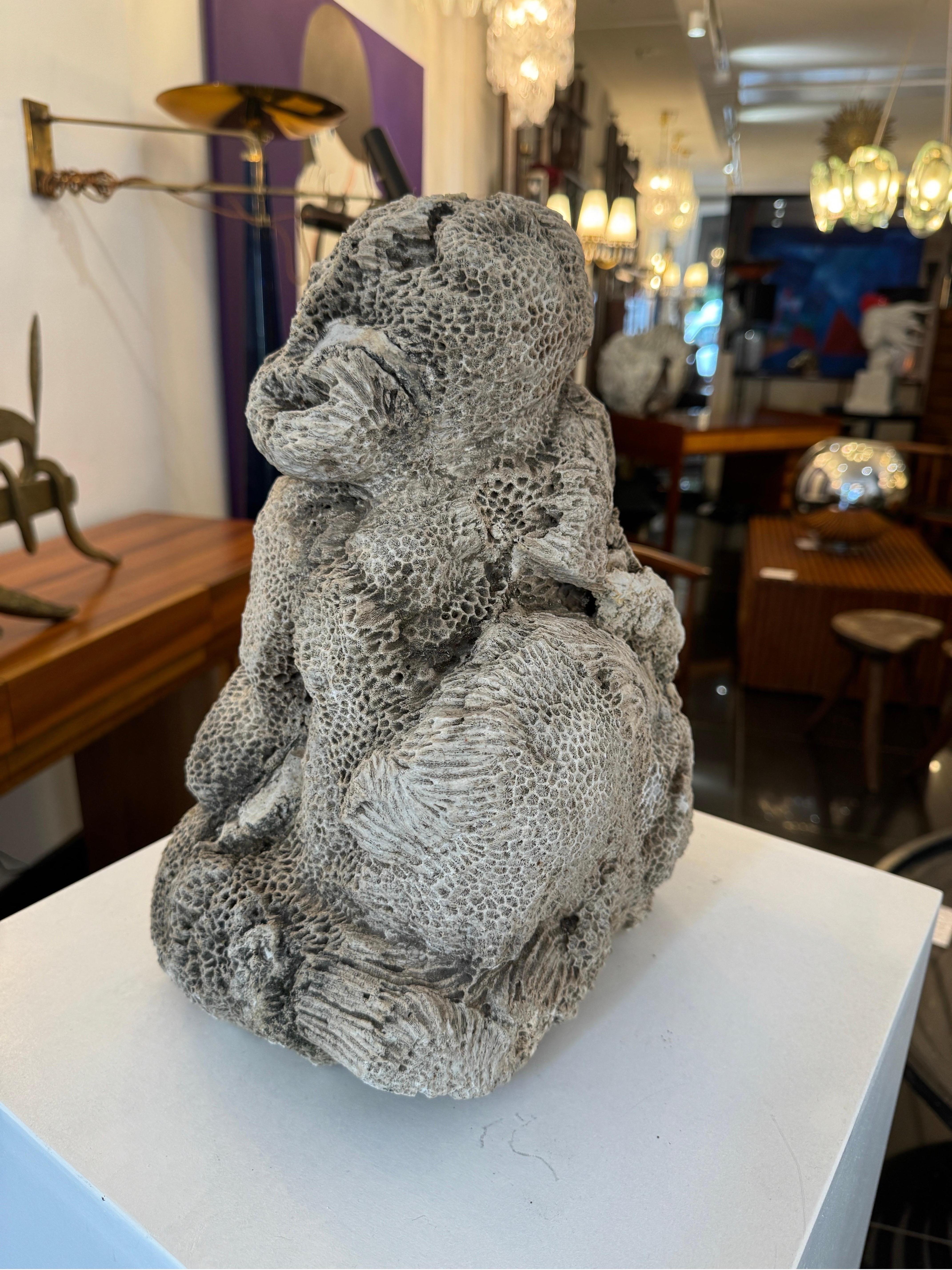 18th Century and Earlier Natural brain coral in the form of a sitting monkey For Sale