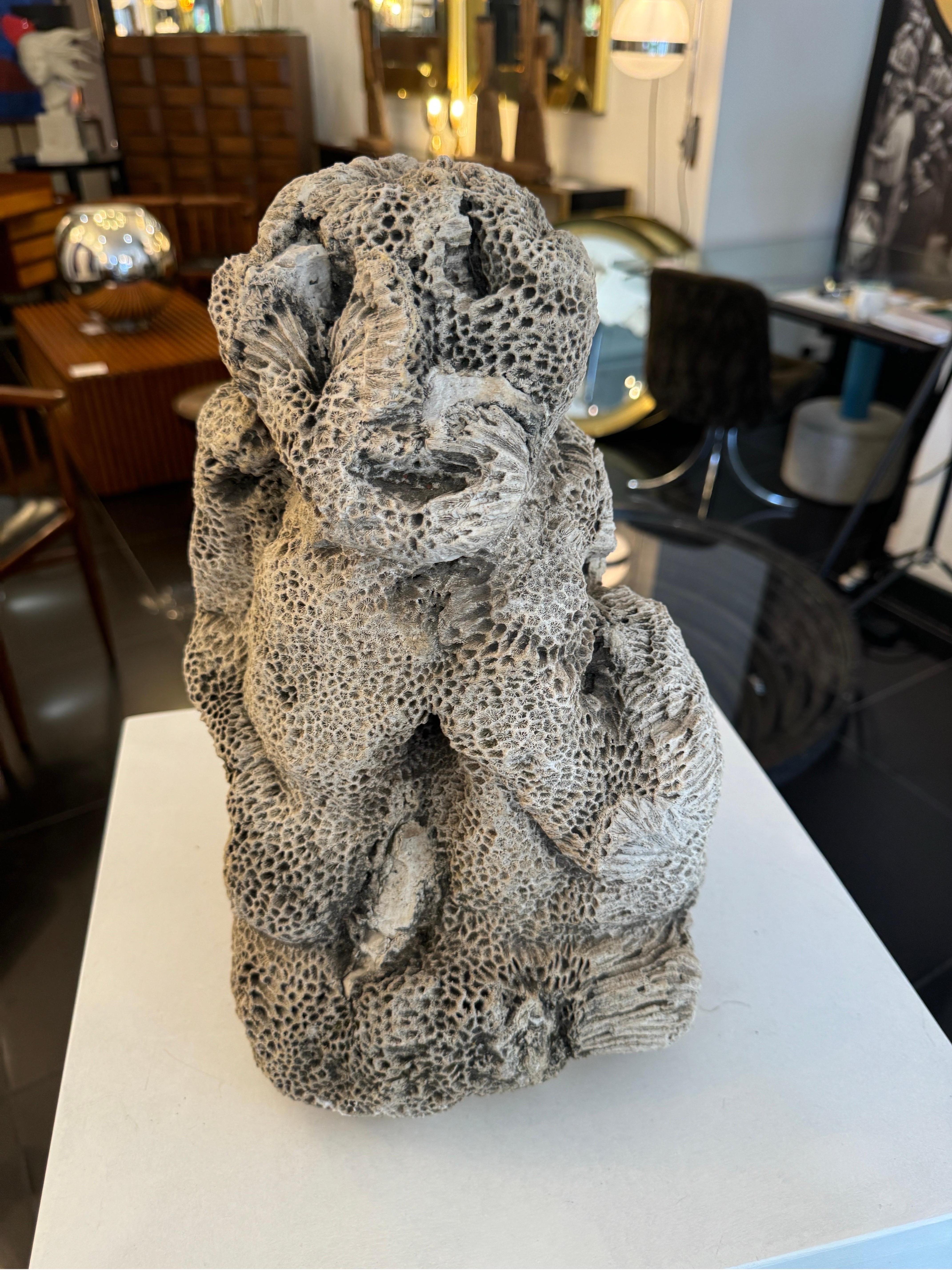 Stone Natural brain coral in the form of a sitting monkey For Sale