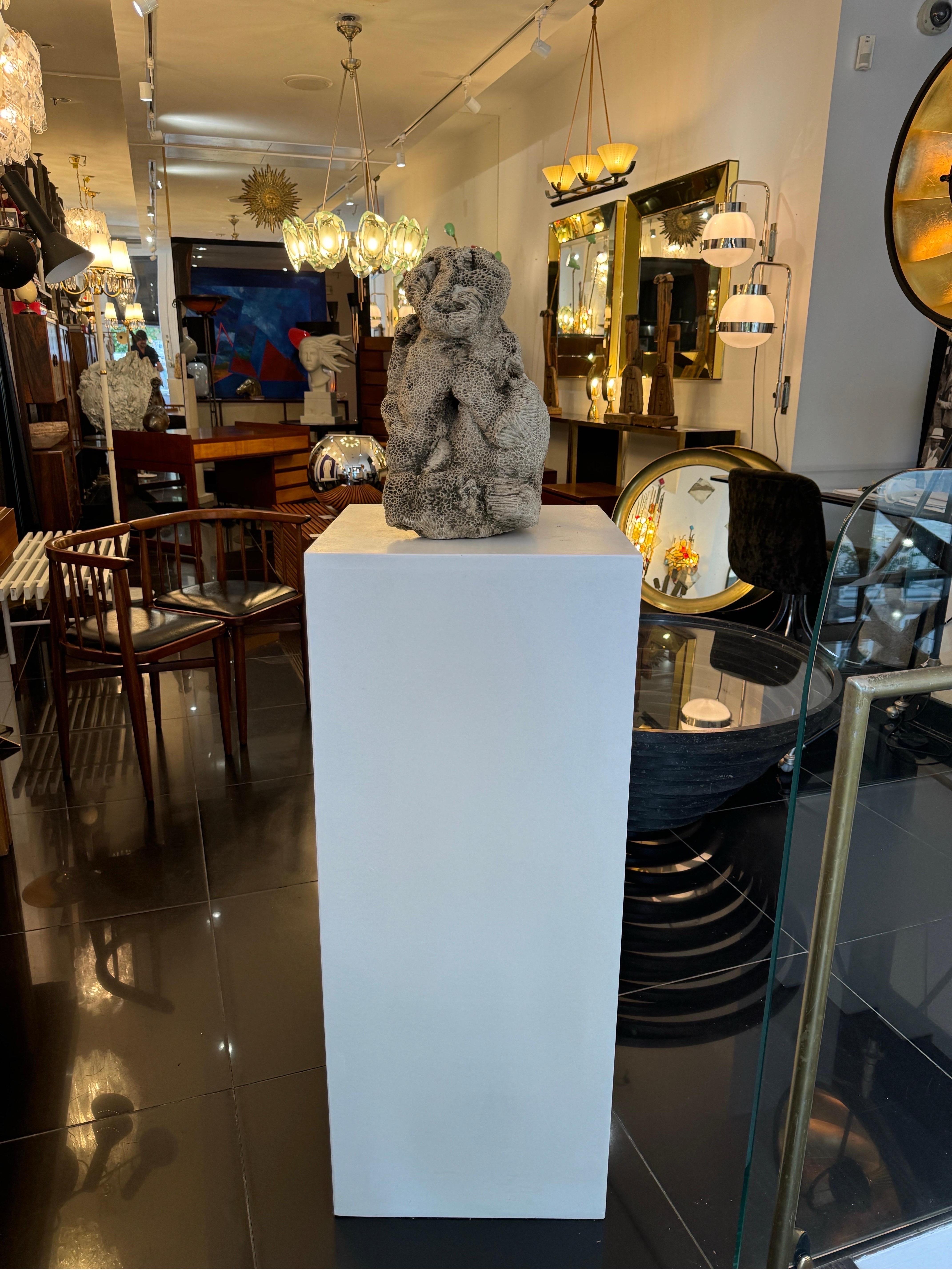 Natural brain coral in the form of a sitting monkey For Sale 3