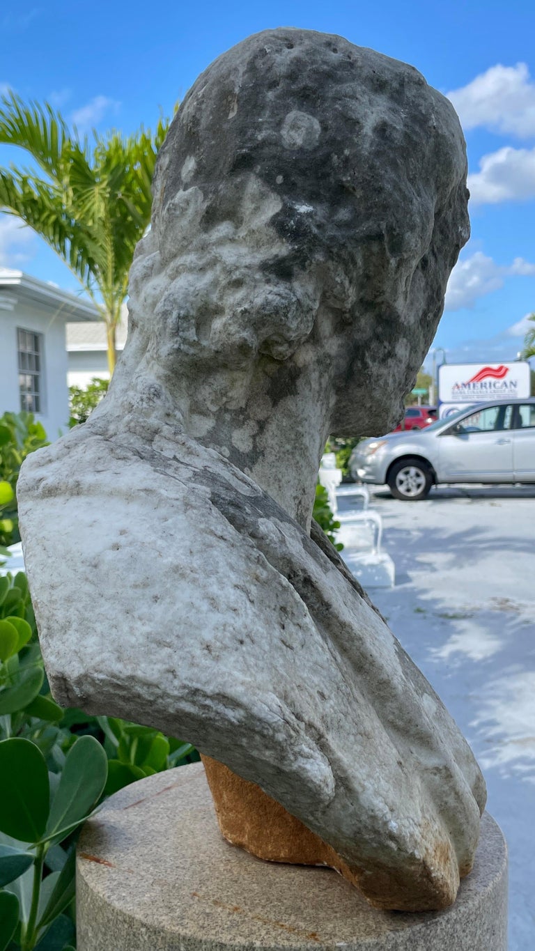 Hand Carved French Marble Bust For Sale at 1stDibs