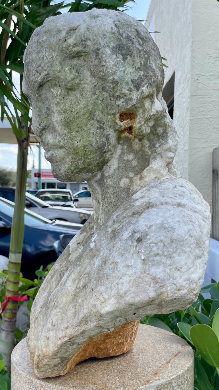 Hand Carved French Marble Bust For Sale at 1stDibs