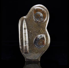Hand Carved Genuine Ammonite and Belemnite on Natural Matrix Freeform Sculpture