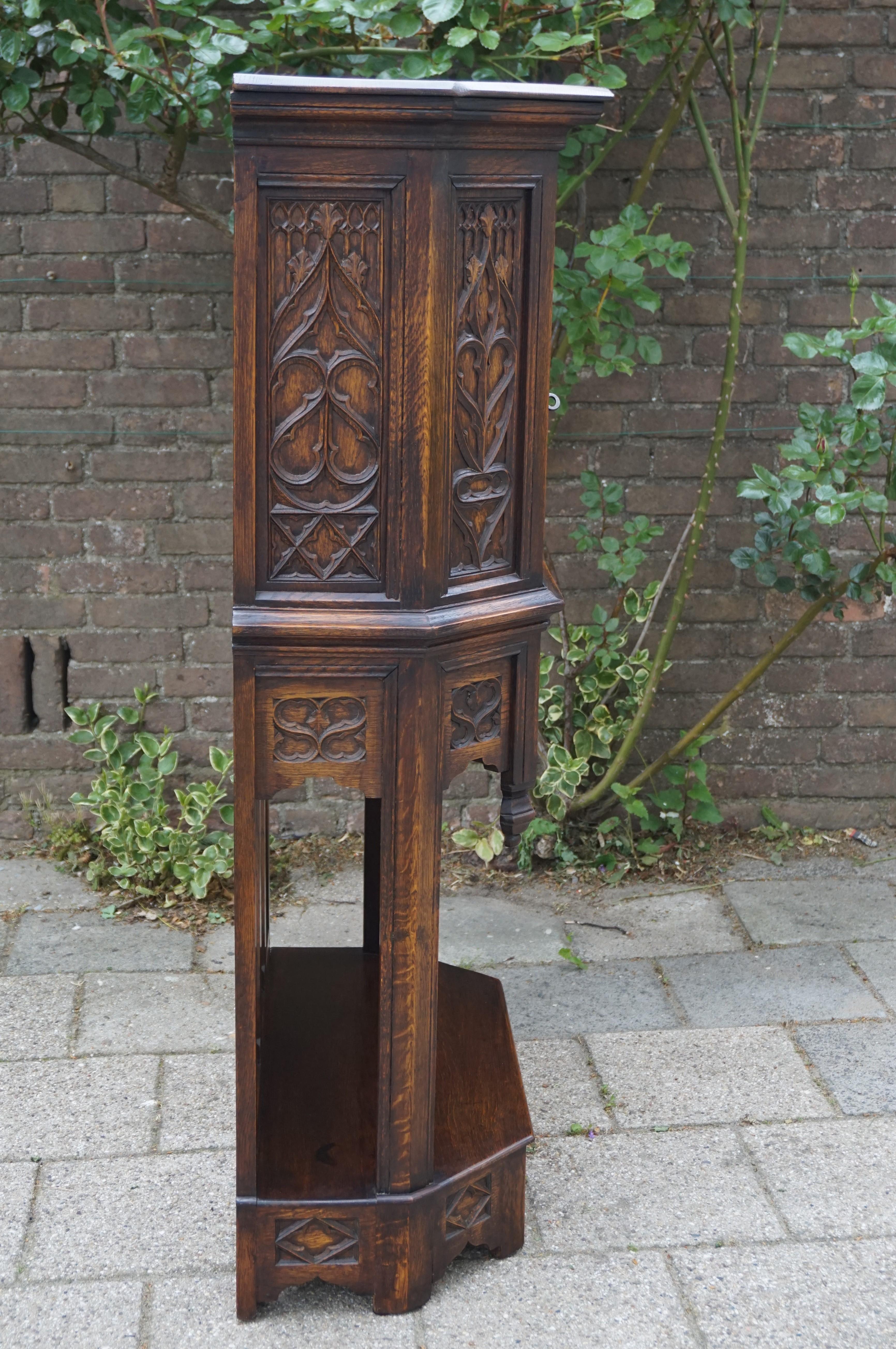 Hand Carved and Half Open Gothic Revival Credenza or Drinks Cabinet with Drawer 2