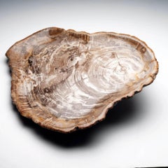 Hand-Carved Indonesian Petrified Wood Large Center Decorative Plate