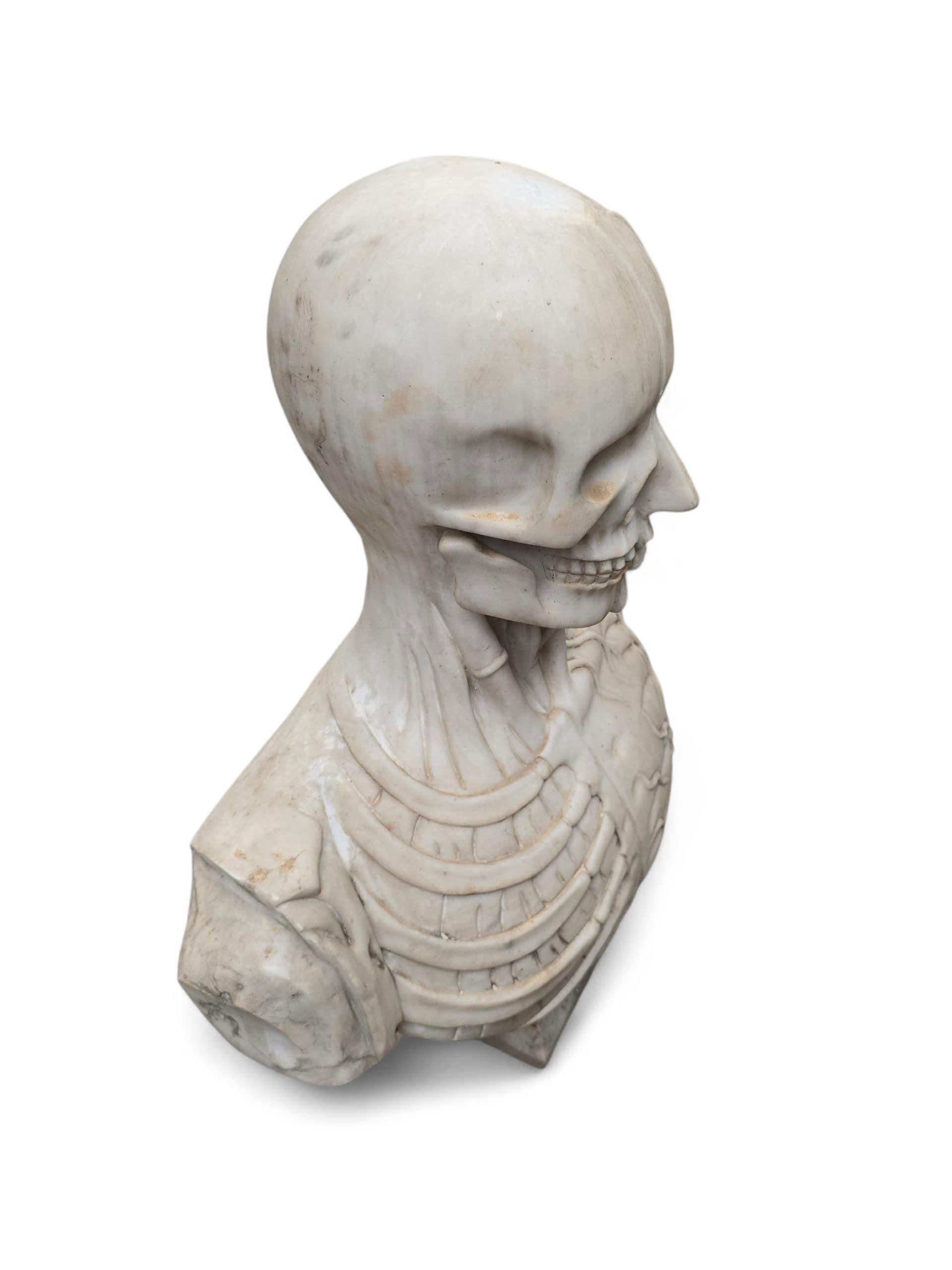 Busto anatómico italiano tallado a mano en mármol de Carrara, Siglo XX en venta 2