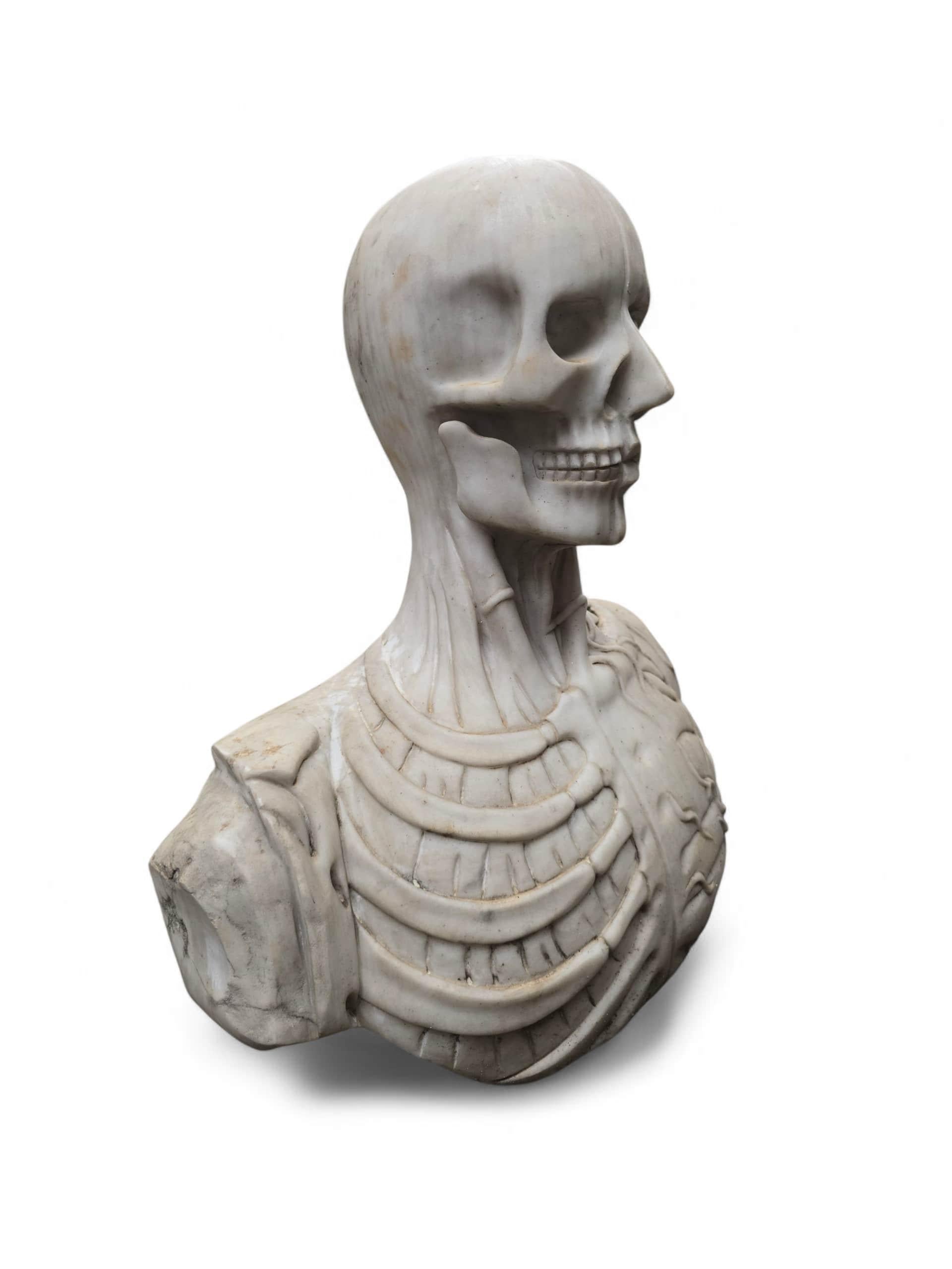 Busto anatómico italiano tallado a mano en mármol de Carrara, Siglo XX en venta 3
