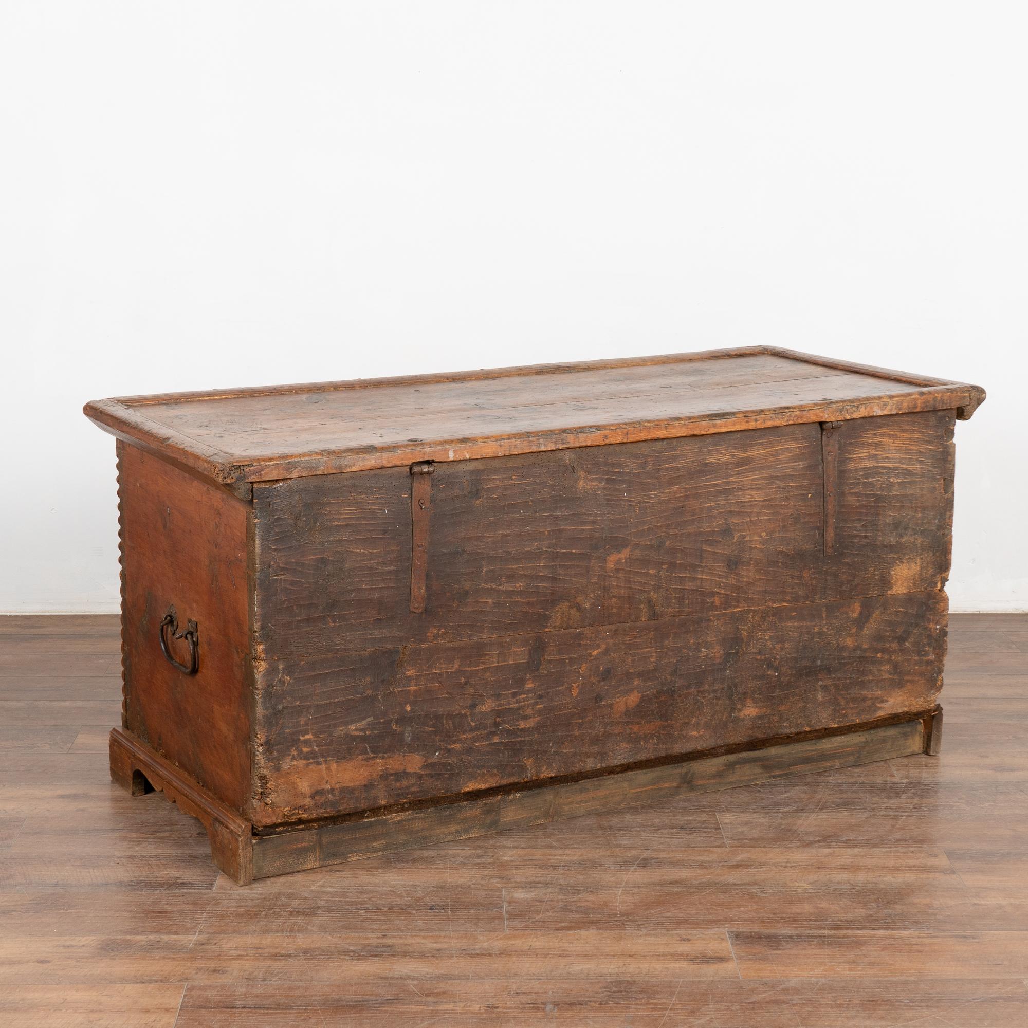 Grande baule di pino intagliato a mano, circa 1800 in vendita 6