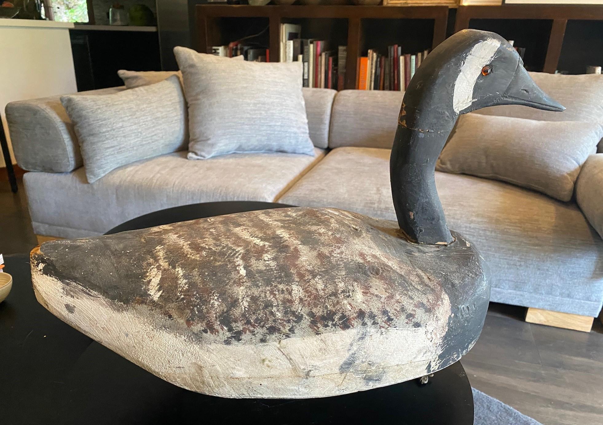 A fantastic early to Mid-20th Century hand-carved and painted wood black swan with white streaked face decoy.  This piece has piercing glass eyes and a wonderful color and texture.  It has a weighted balance on its underside for better buoyance. 
