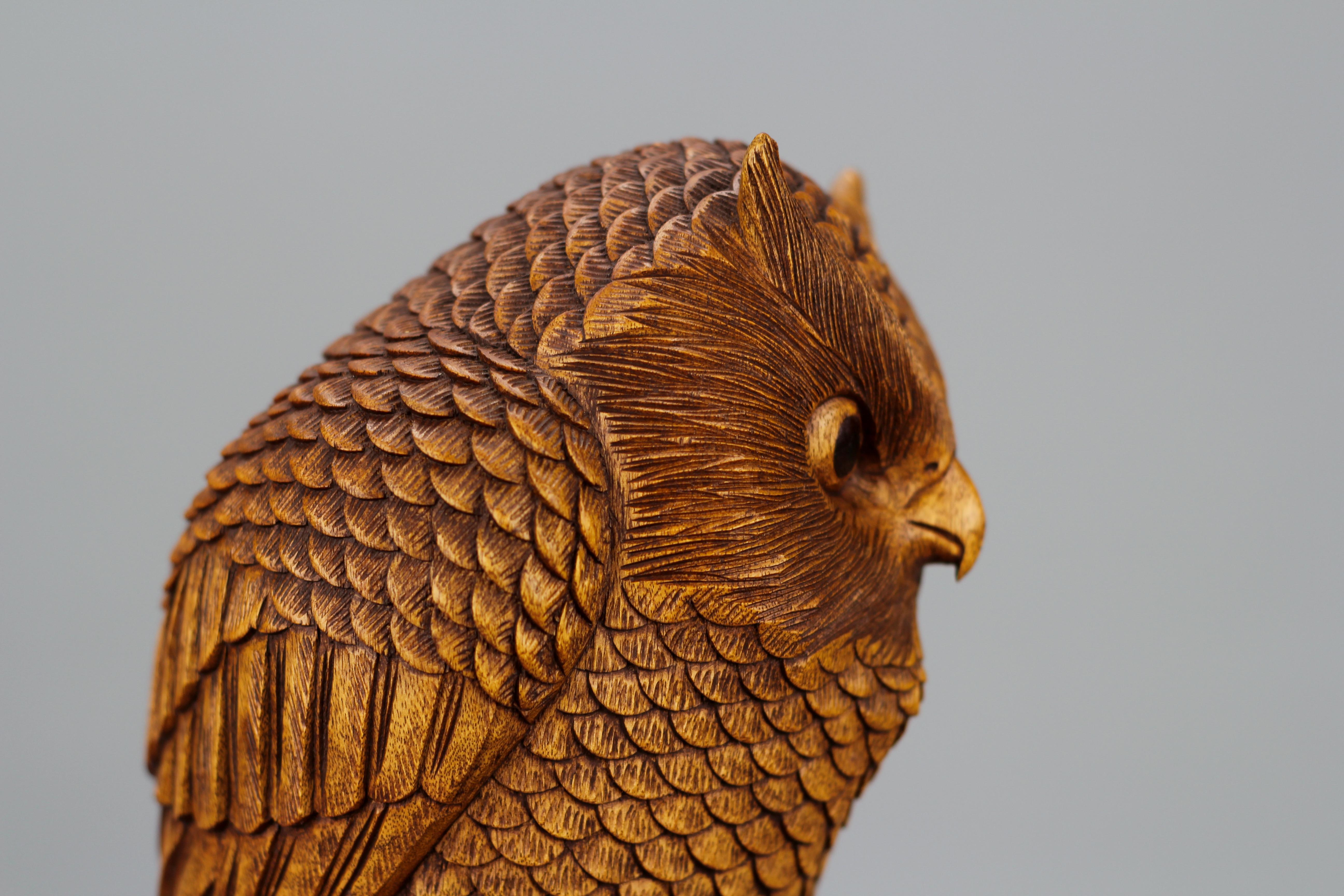 Hand-Carved Light-Brown Wooden Owl Sculpture  For Sale 5