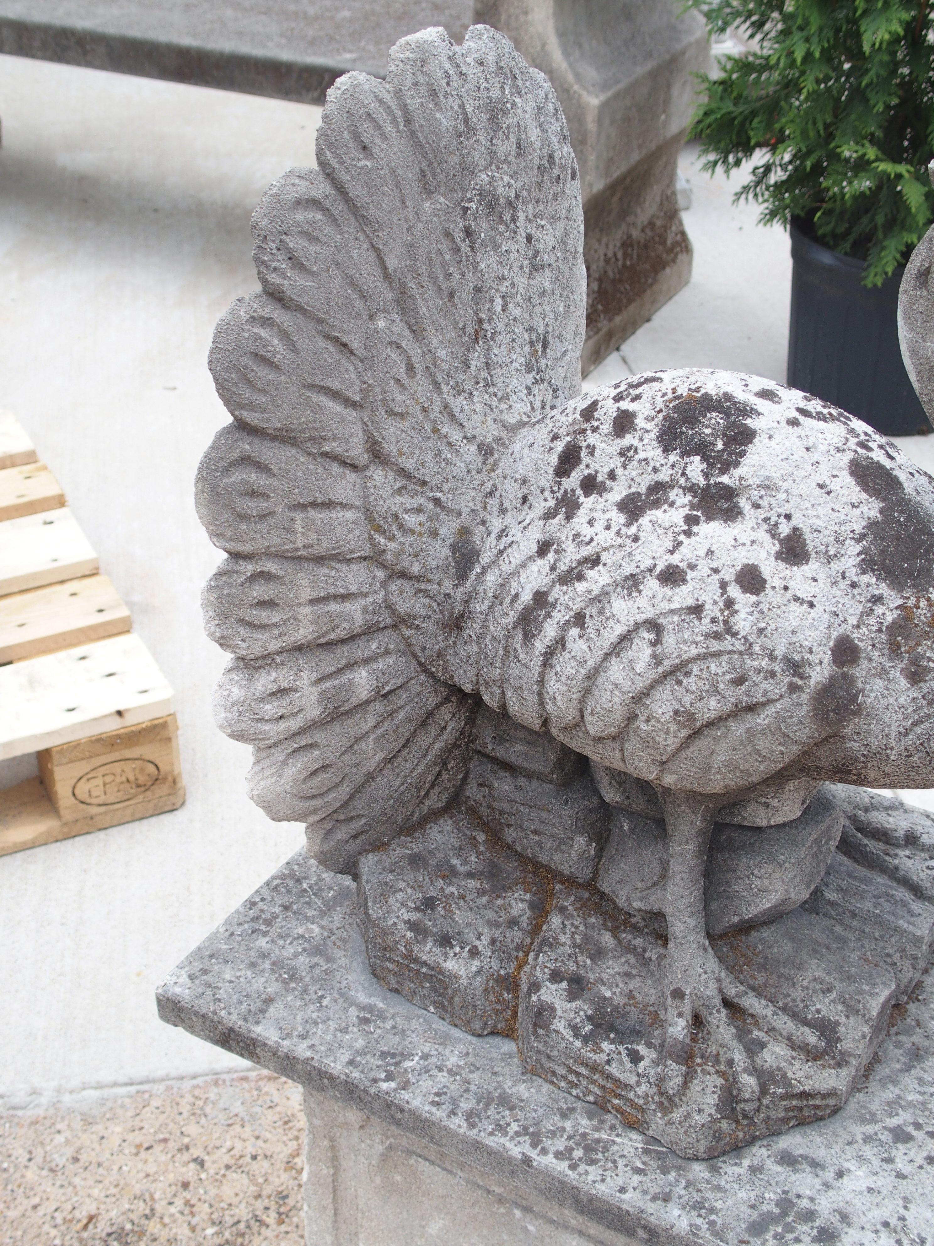 Hand Carved Limestone Peacock on Plinth 4