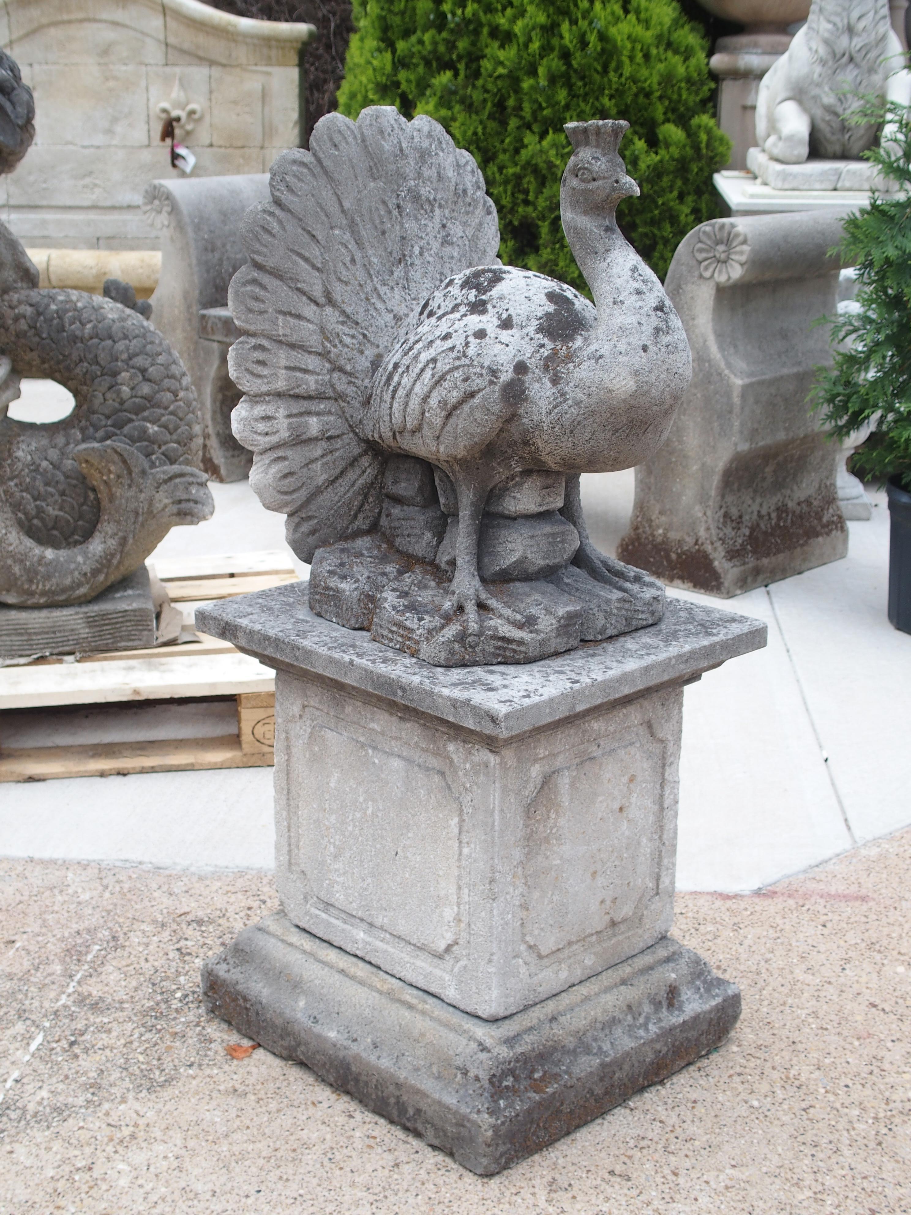 Hand Carved Limestone Peacock on Plinth 6