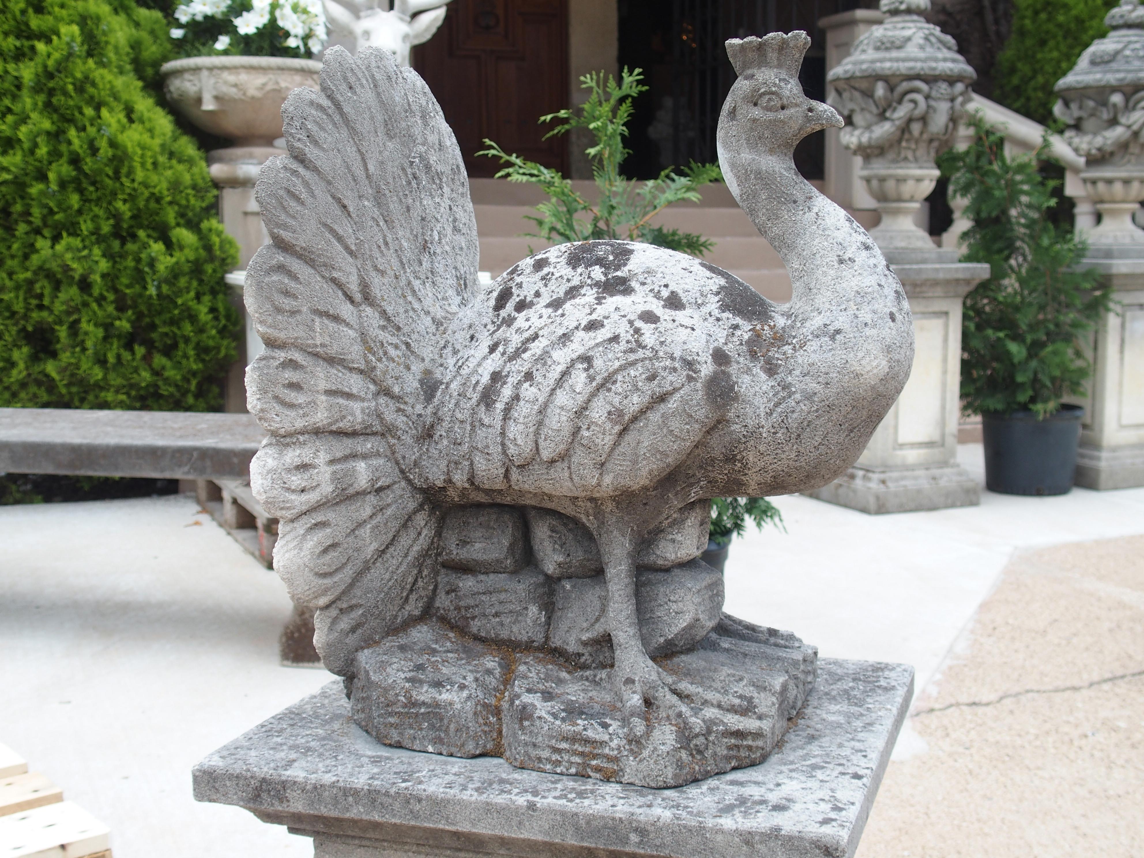 Hand carved in Italy in the early 2000’s, this limestone peacock sits on a classic rectangular plinth. Our proud peacock is shown displaying his tail feathers in the typical fan shape while standing on a rocky outcrop. The carved plinth has panels