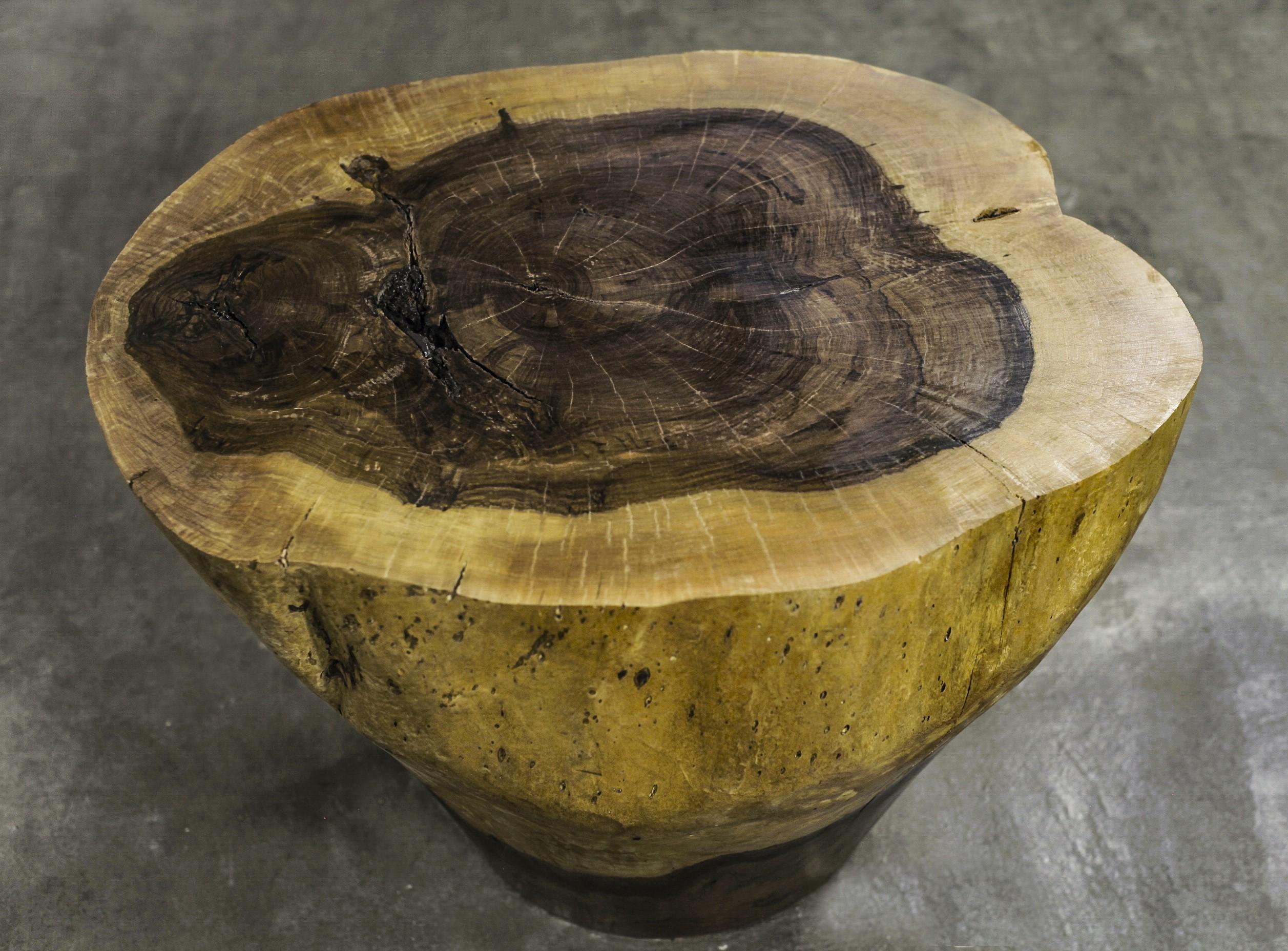 Carved Live Edge Solid Wood Trunk Table ƒ10 by Costantini, Francisco, in Stock In New Condition For Sale In New York, NY