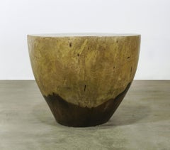 Carved Live Edge Solid Wood Trunk Table ƒ16 by Costantini, Francisco, in Stock