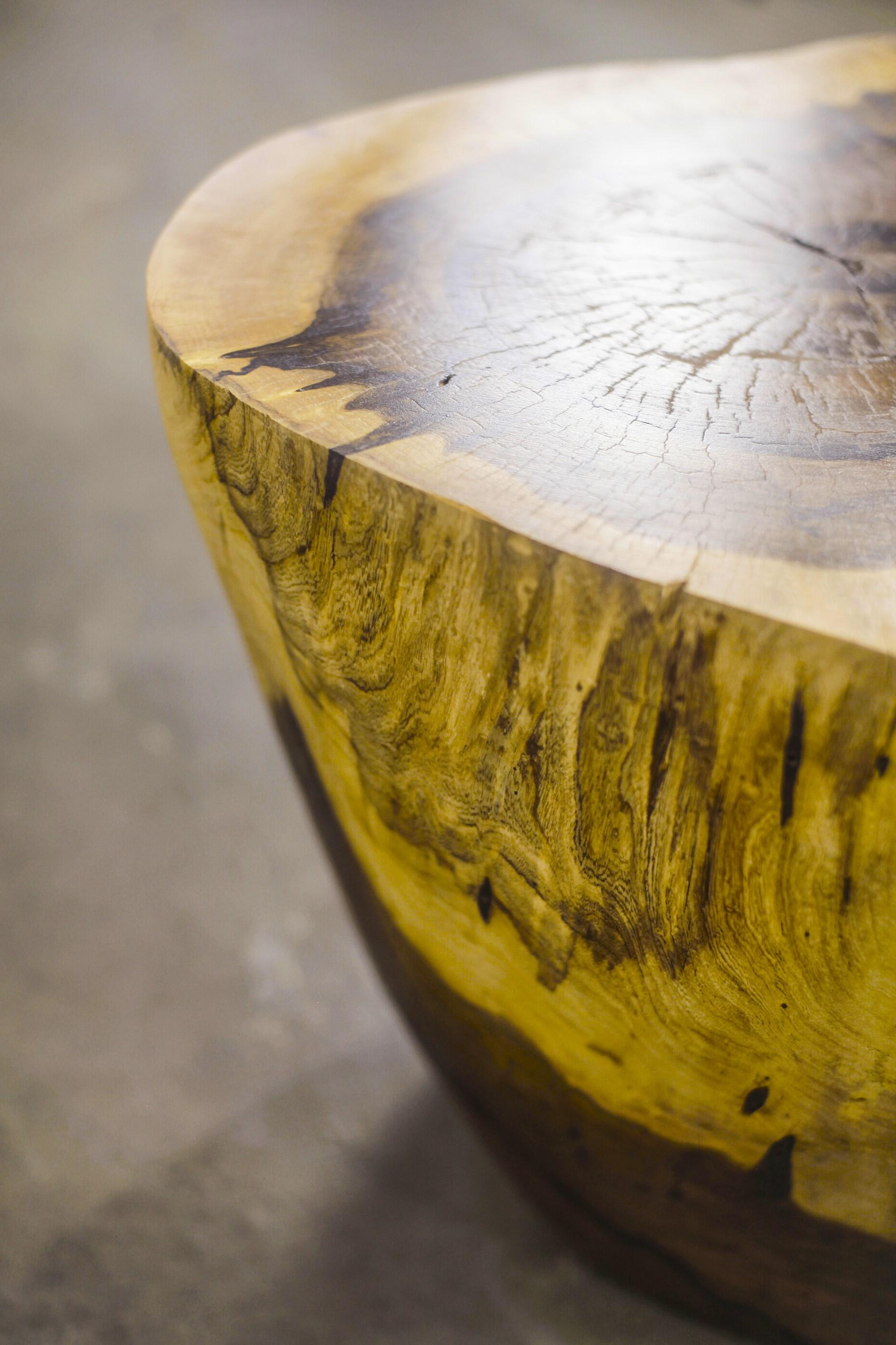 Carved Live Edge Solid Wood Trunk Table ƒ2 by Costantini, Francisco, in Stock For Sale 1