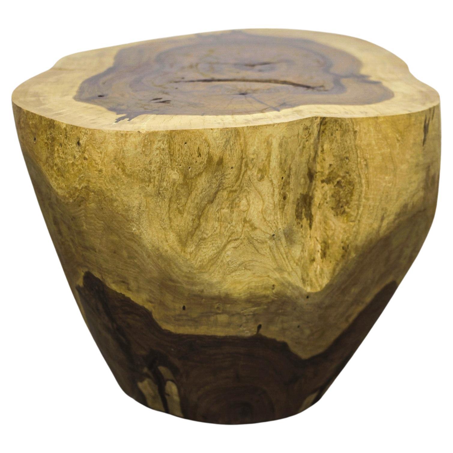 Carved Live Edge Solid Wood Trunk Table ƒ2 by Costantini, Francisco, in Stock