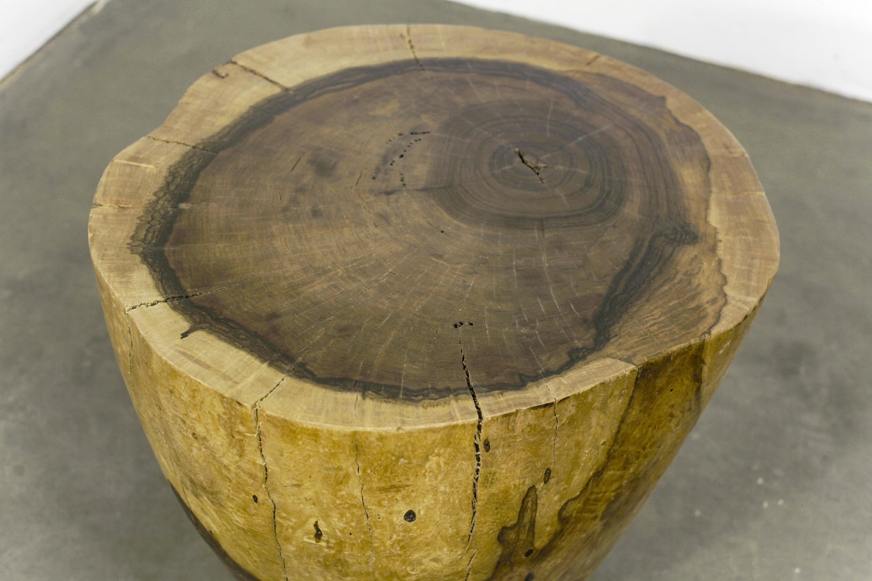 Carved Live Edge Solid Wood Trunk Table ƒ20 by Costantini, Francisco, in Stock In New Condition For Sale In New York, NY