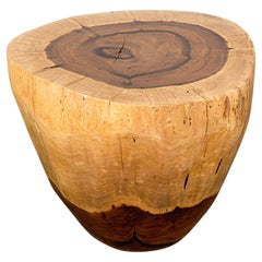 Hand Carved Live Edge Solid Wood Trunk Table ƒ28 from Costantini, in Stock