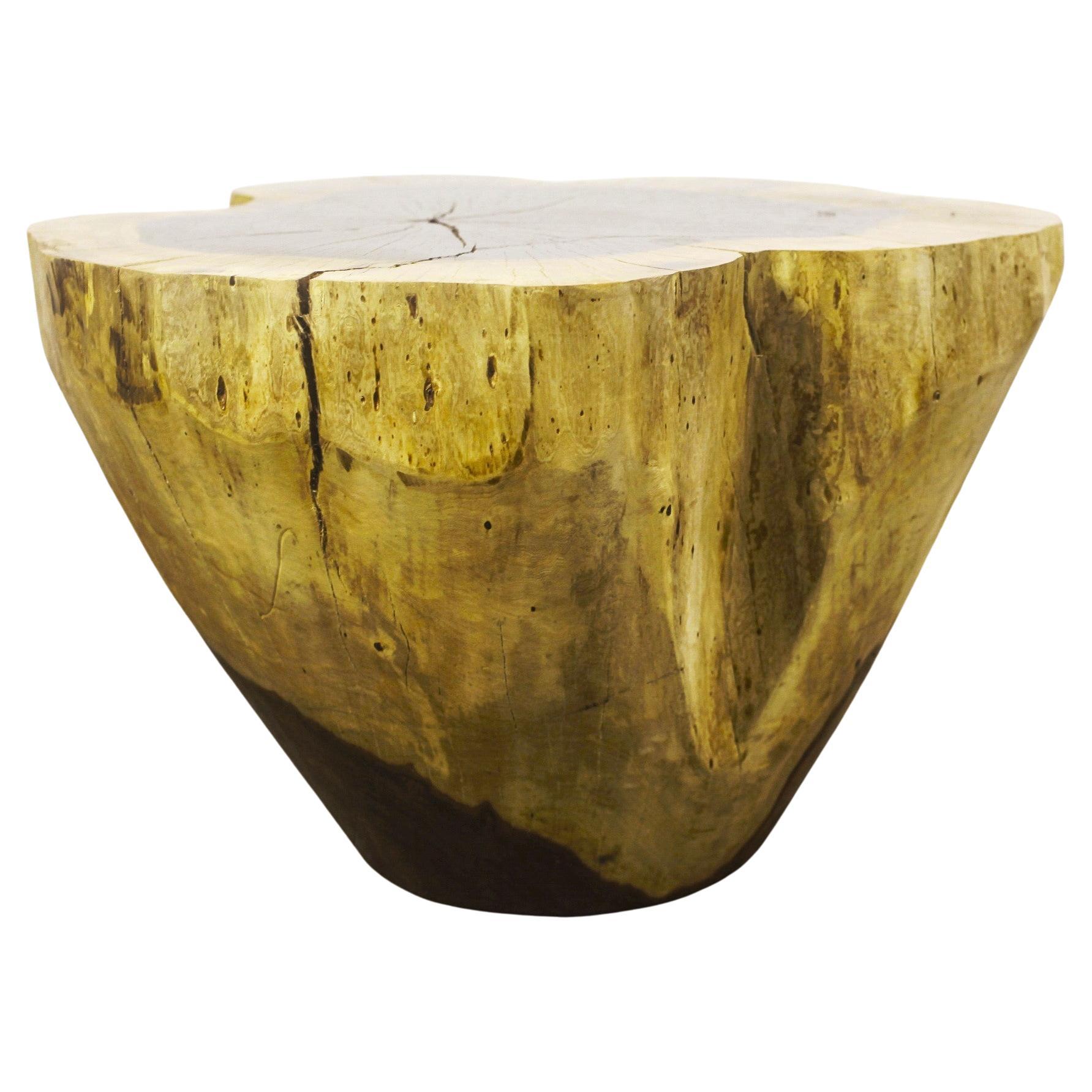 Table coffre en bois massif sculpté ƒ3 par Costantini, Francisco, en stock