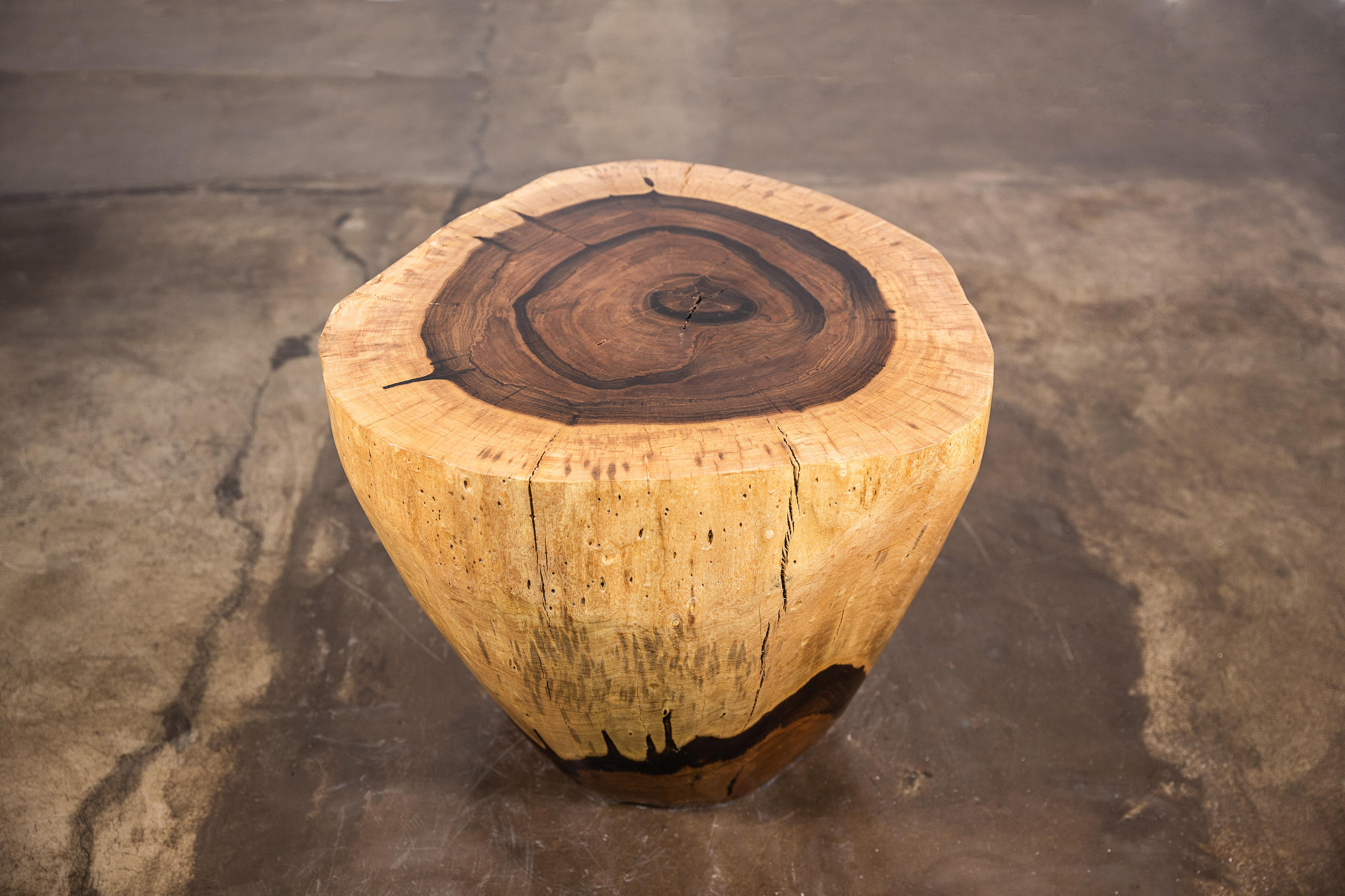 Contemporary Carved Live Edge Solid Wood Trunk Table ƒ31 by Costantini, Francisco, in Stock For Sale
