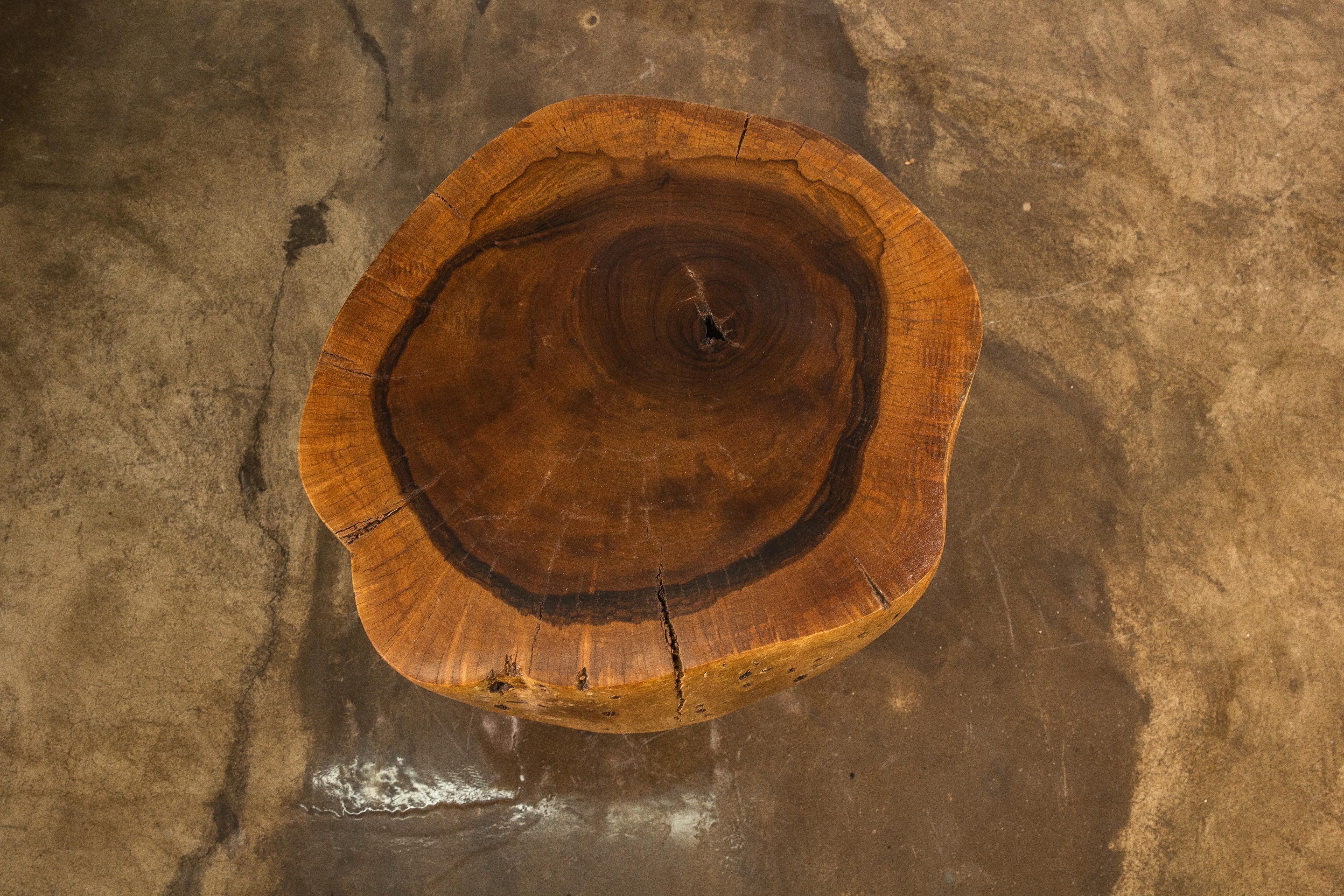 Table coffre en bois massif sculpté ƒ35 par Costantini, Francisco, en stock en vente 3