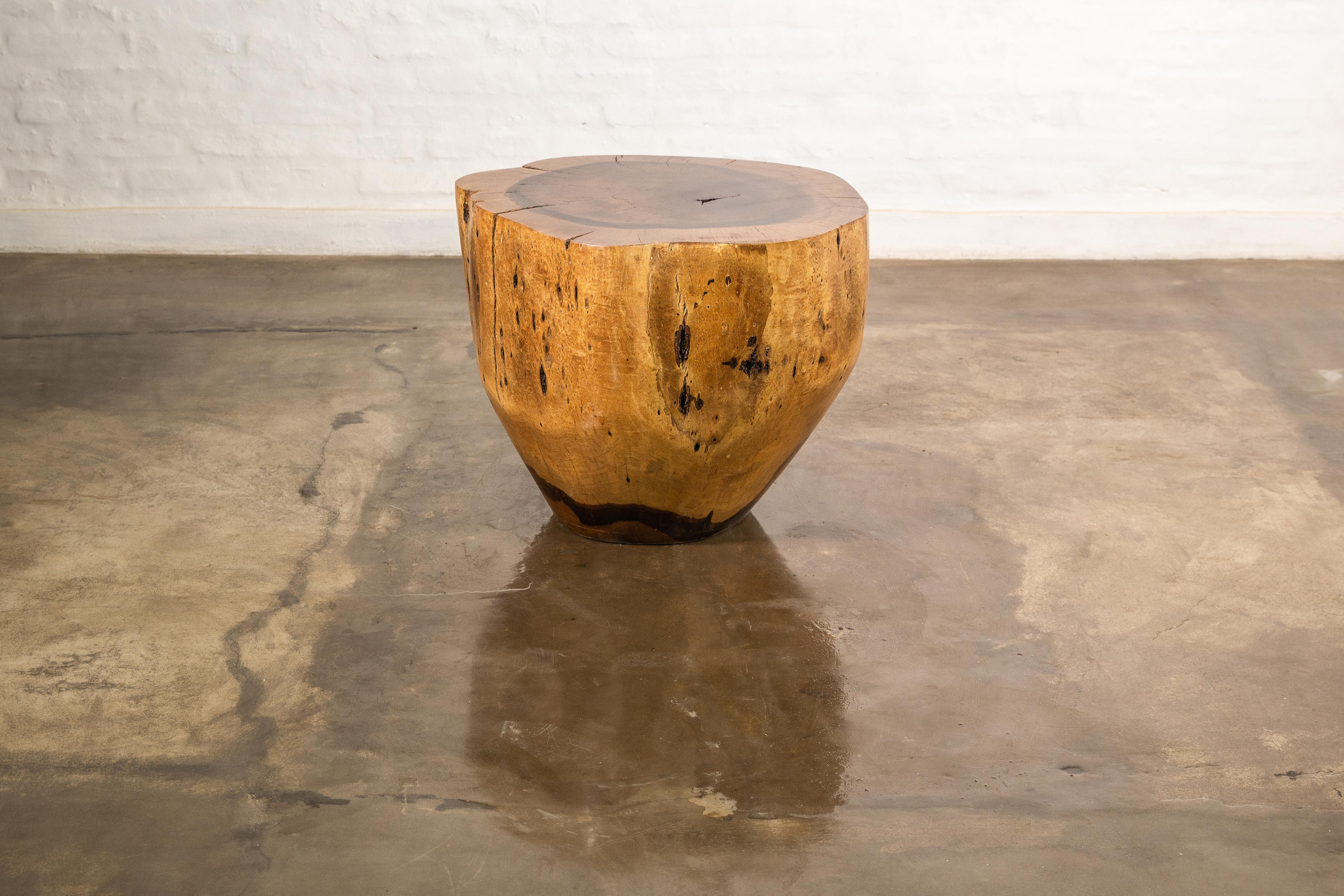 Carved Live Edge Solid Wood Trunk Table ƒ35 by Costantini, Francisco, in Stock For Sale 8