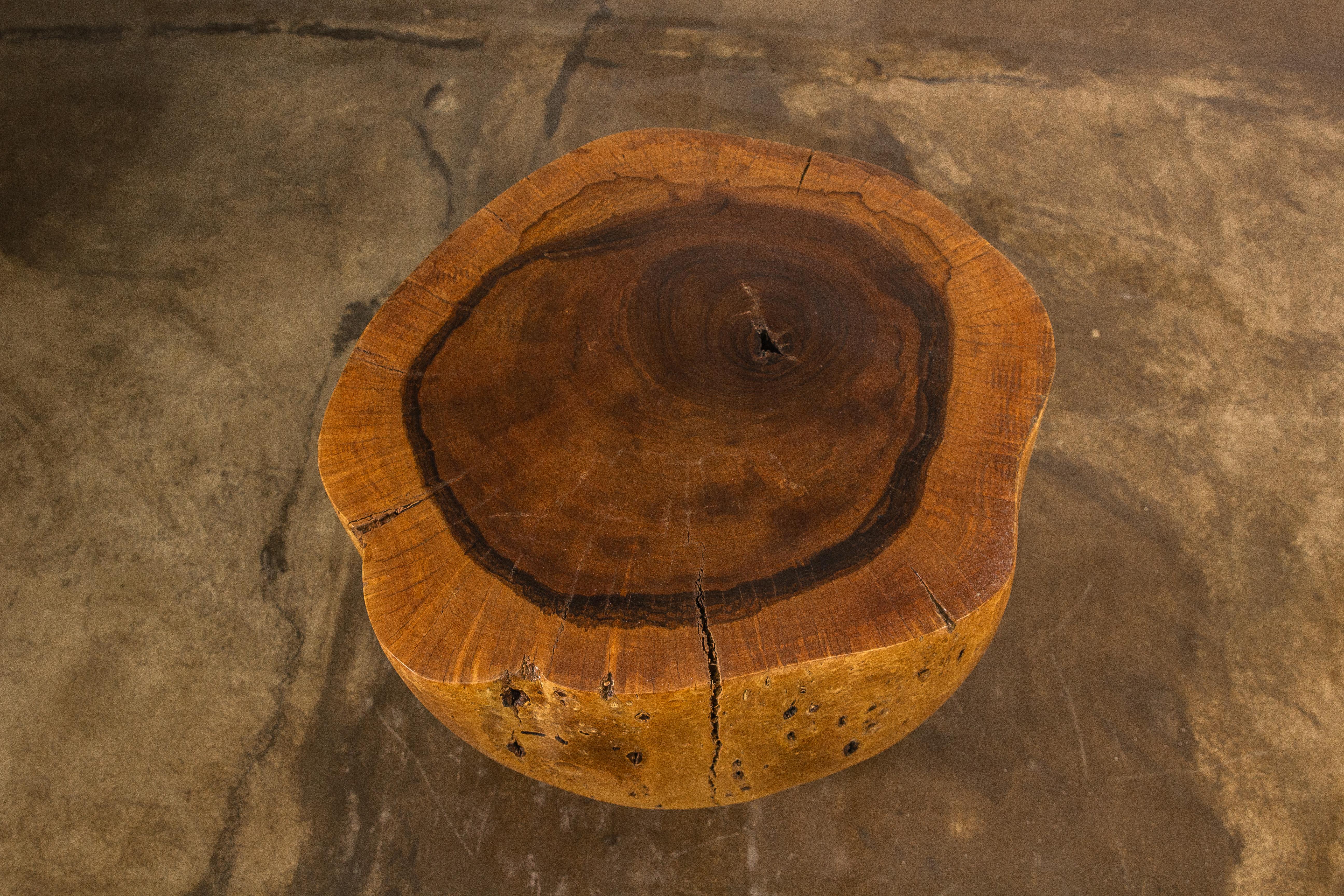 Argentine Carved Live Edge Solid Wood Trunk Table ƒ35 by Costantini, Francisco, in Stock For Sale