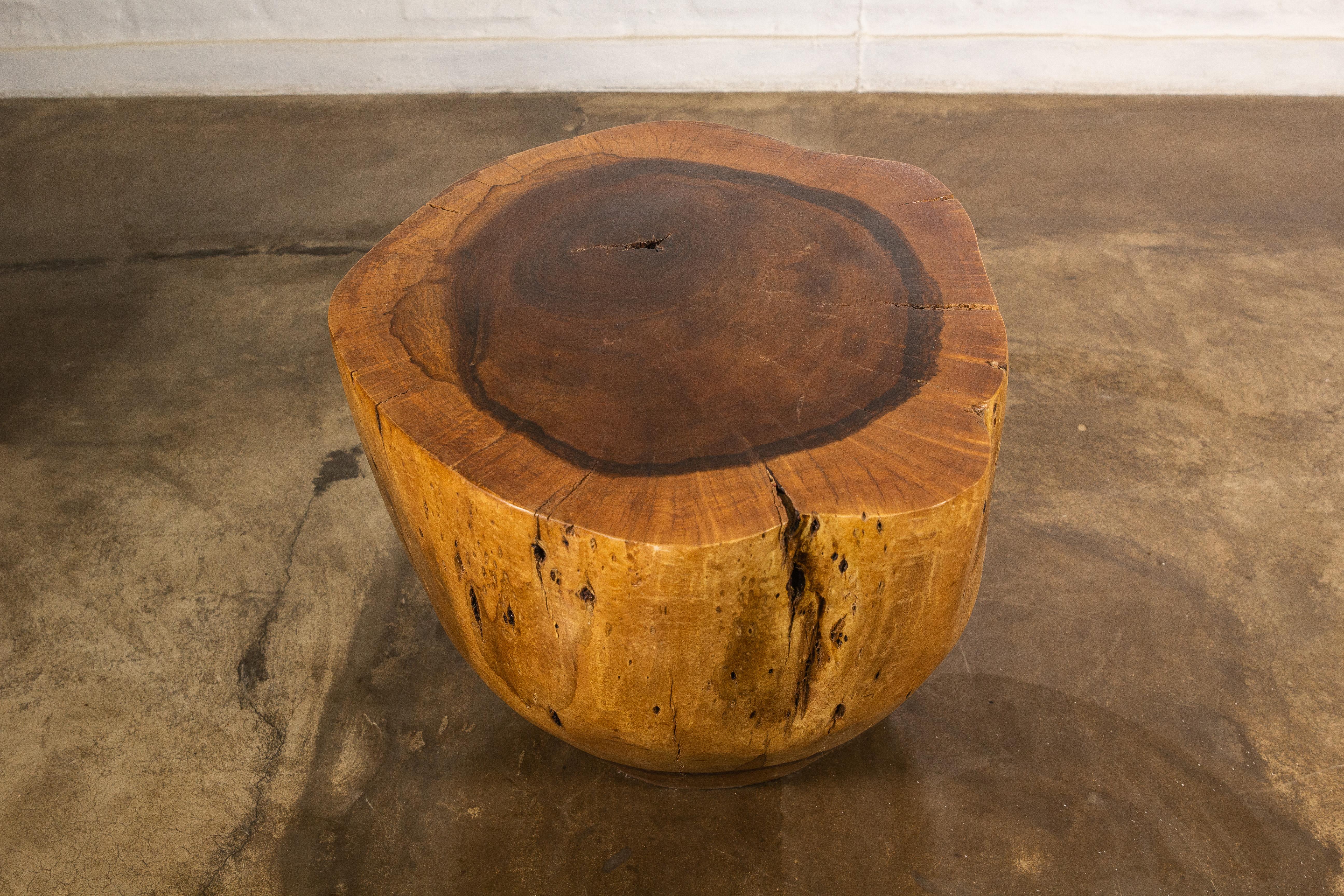 Carved Live Edge Solid Wood Trunk Table ƒ35 by Costantini, Francisco, in Stock For Sale 1