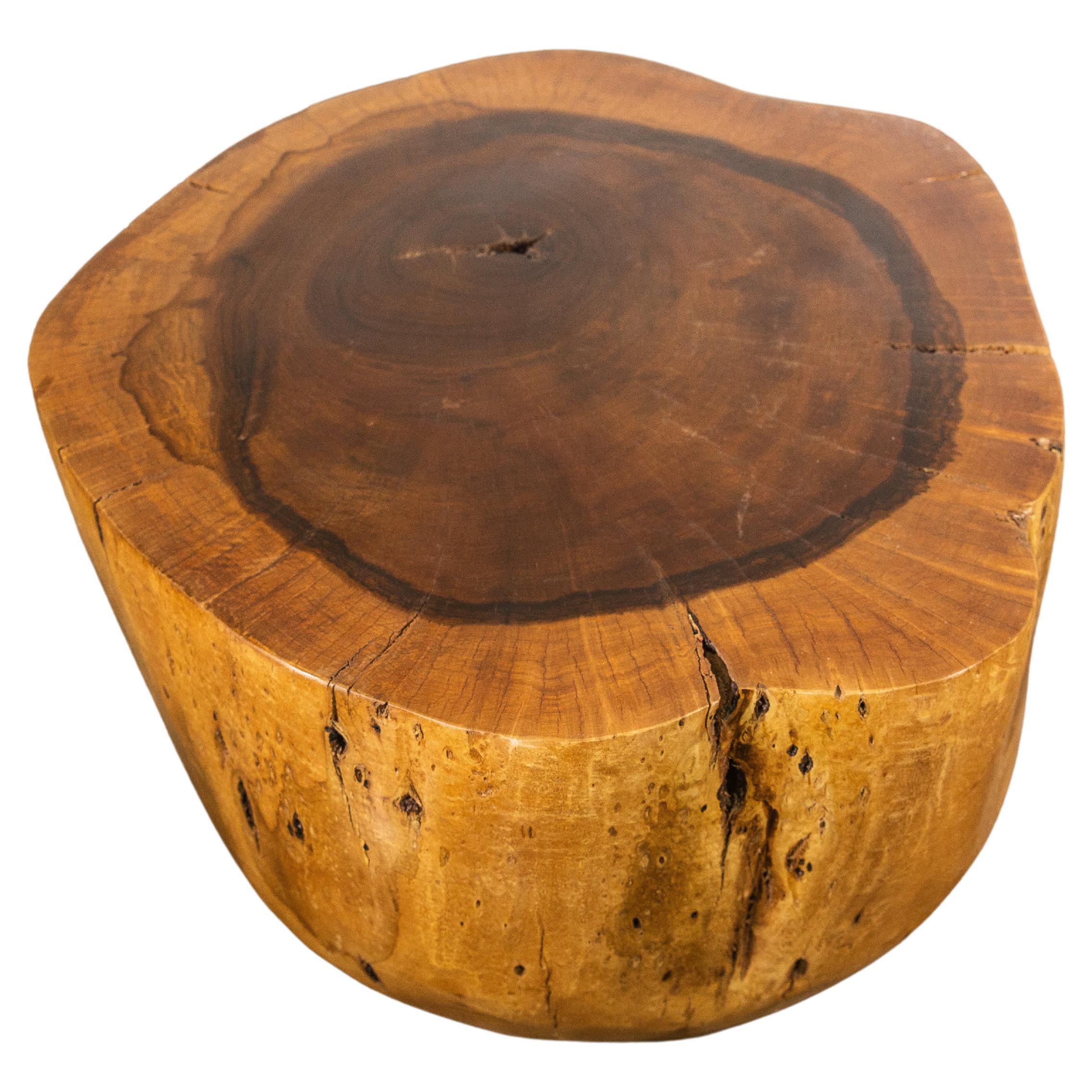 Carved Live Edge Solid Wood Trunk Table ƒ35 by Costantini, Francisco, in Stock For Sale