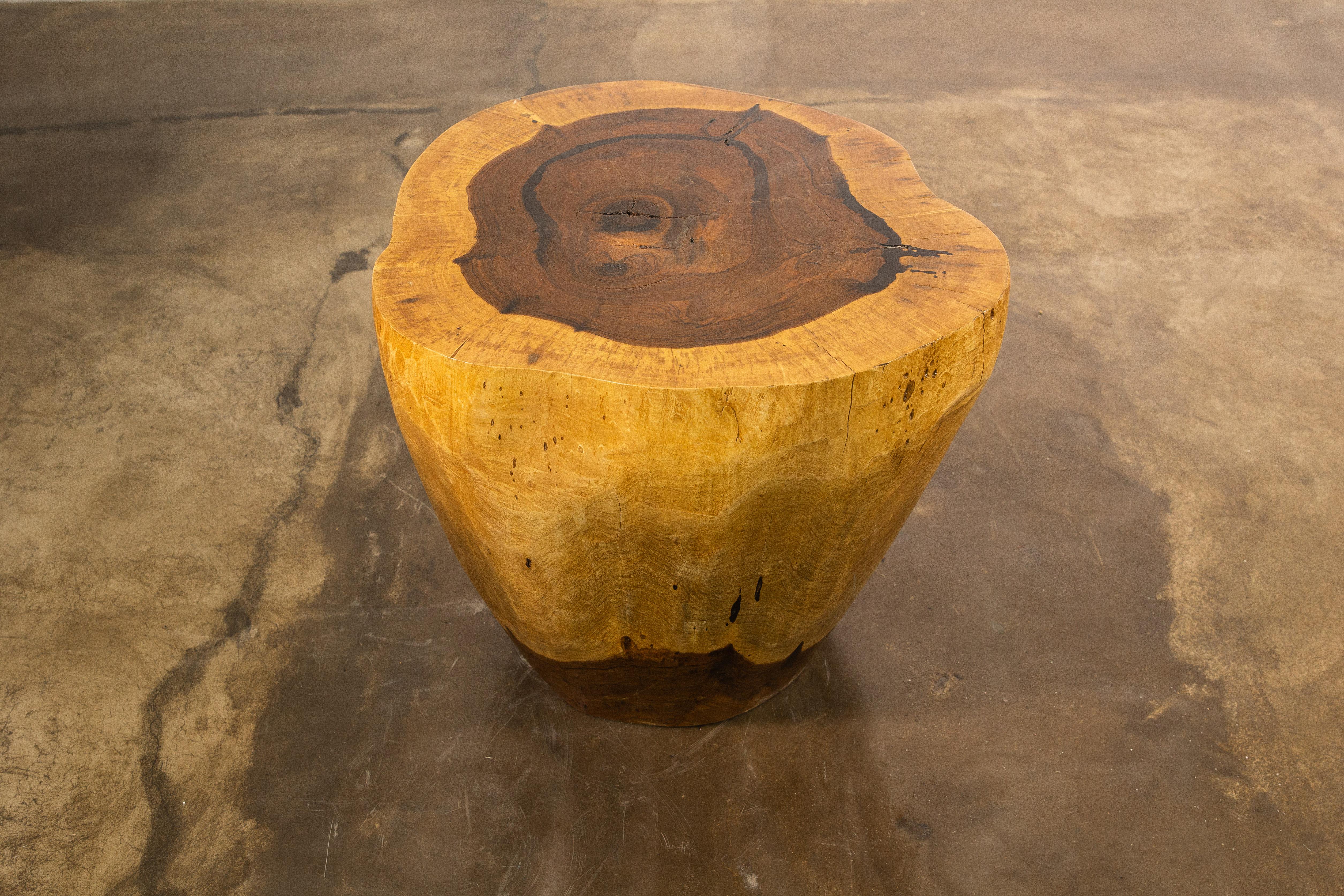 Hand Carved Live Edge Solid Wood Trunk Table ƒ37 by Costantini, in Stock For Sale 5