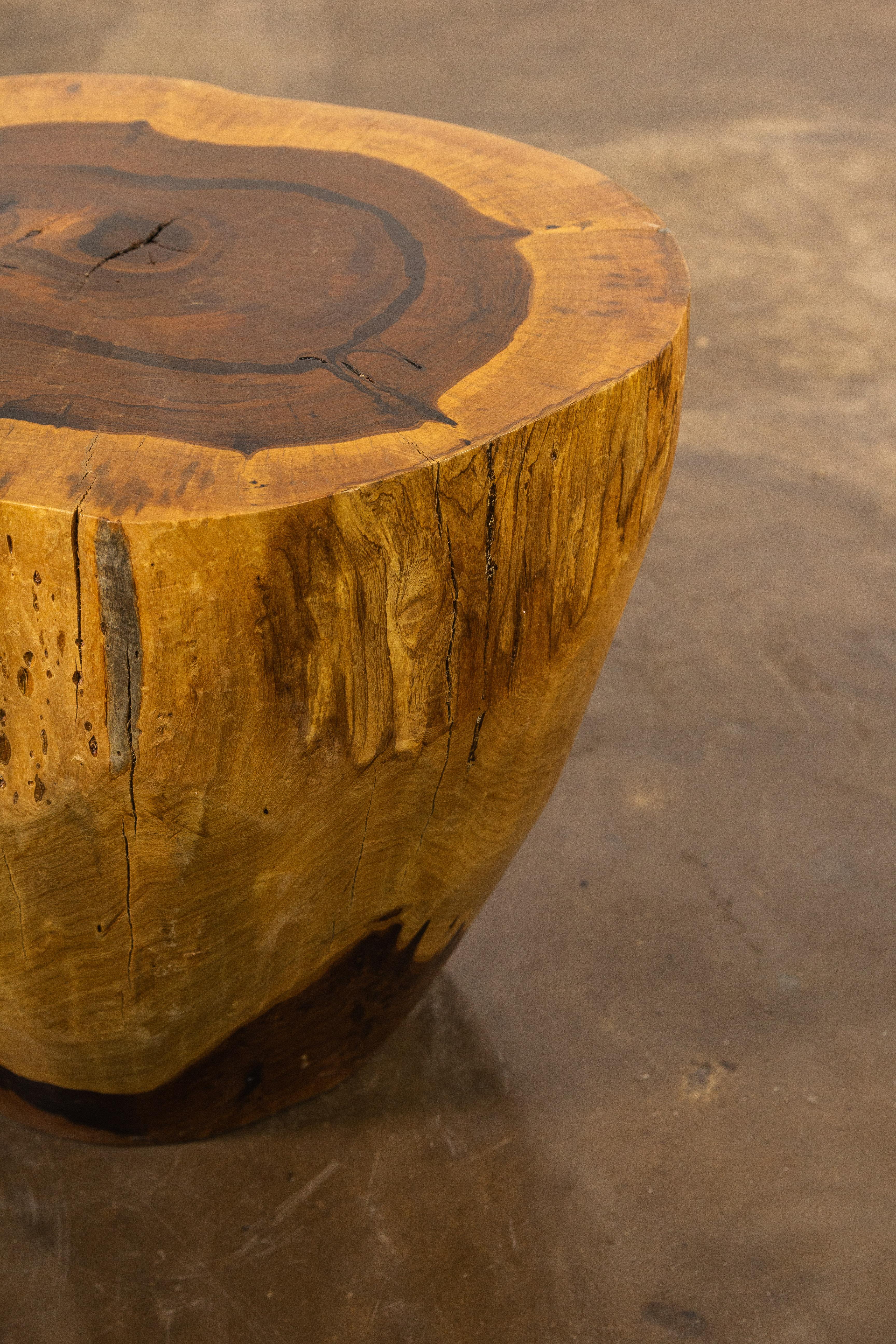 Hand Carved Live Edge Solid Wood Trunk Table ƒ37 by Costantini, in Stock For Sale 10