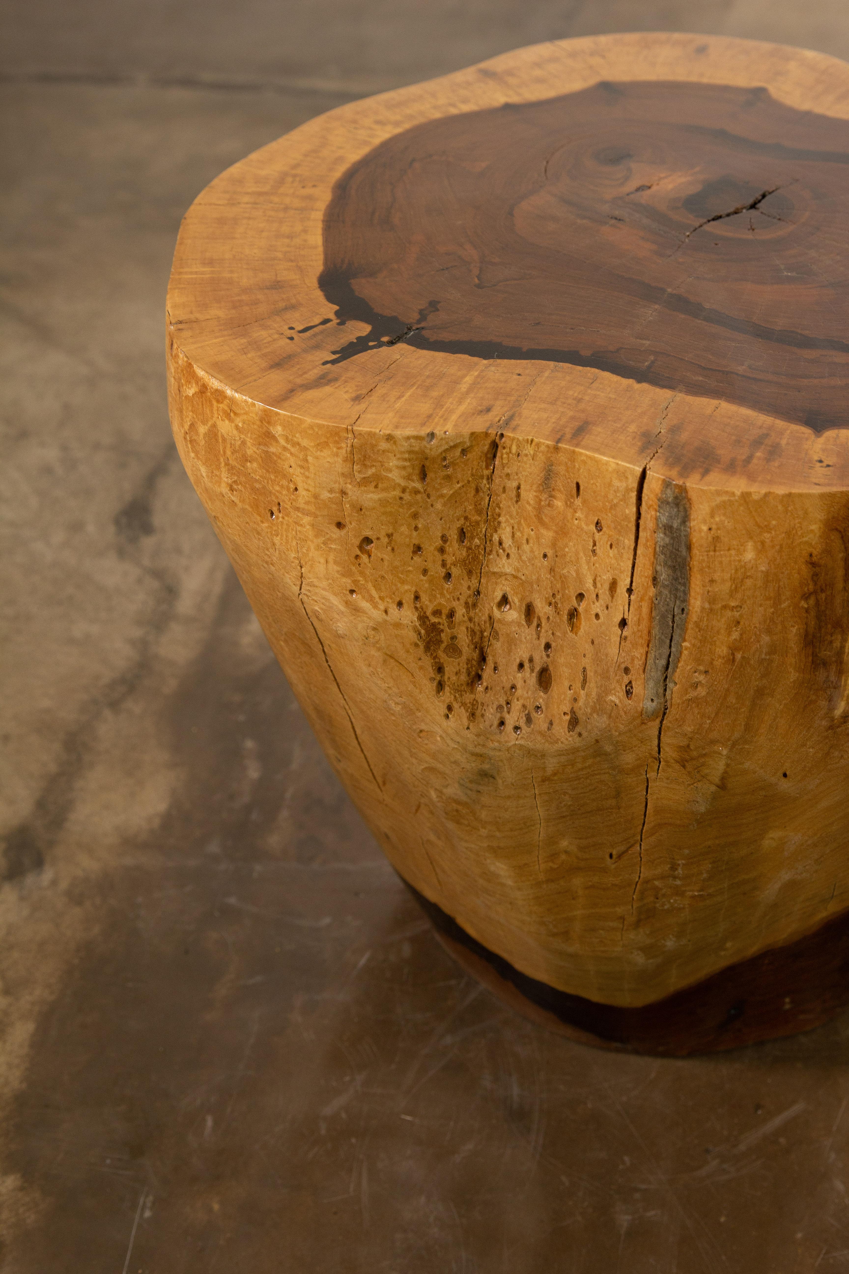 Argentine Hand Carved Live Edge Solid Wood Trunk Table ƒ37 by Costantini, in Stock For Sale