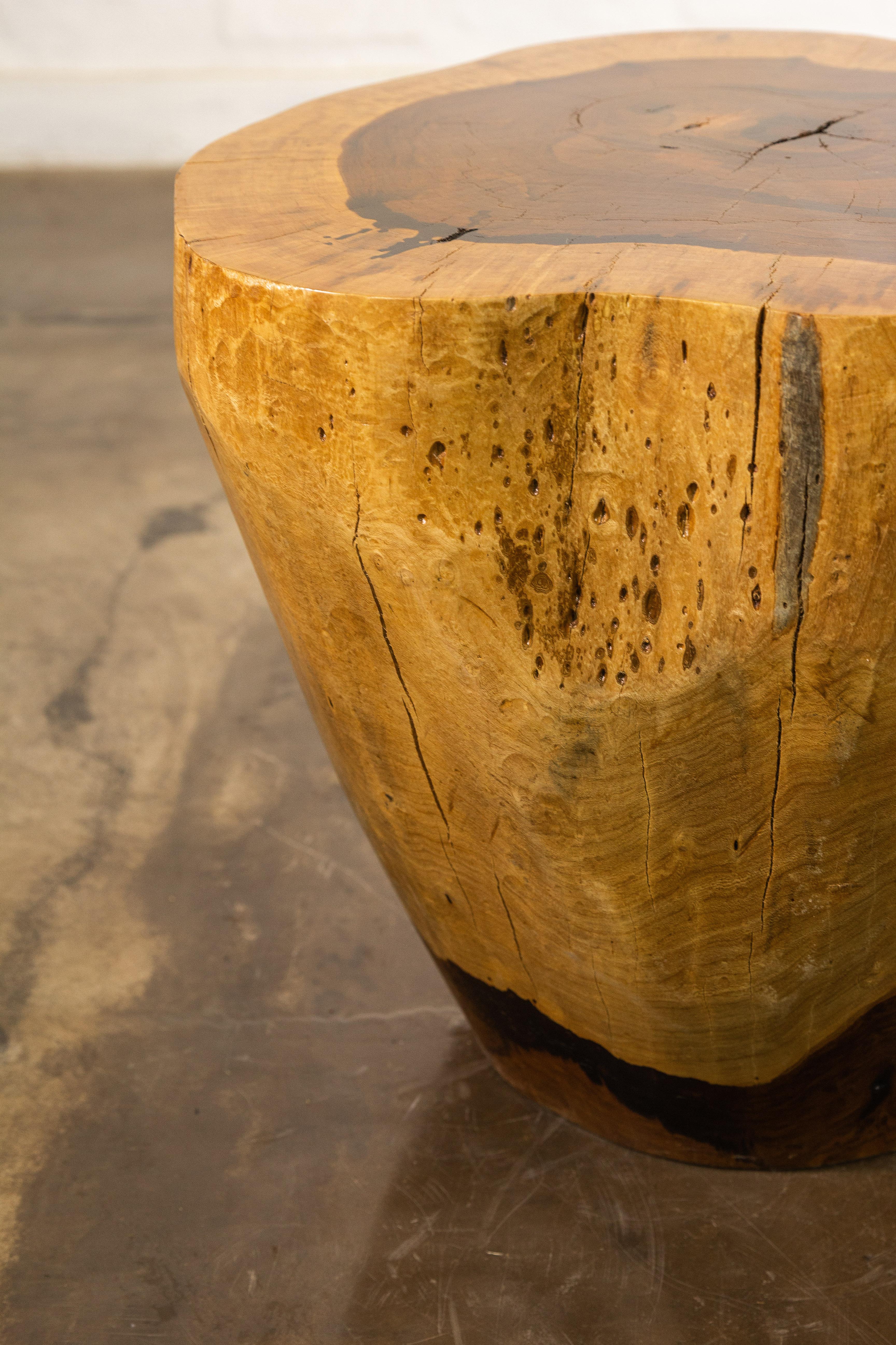 Hand Carved Live Edge Solid Wood Trunk Table ƒ37 by Costantini, in Stock For Sale 1