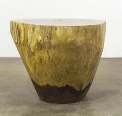 Carved Live Edge Solid Wood Trunk Table ƒ4 by Costantini, Francisco, in Stock