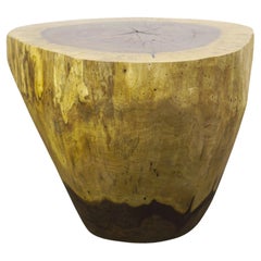 Table coffre en bois massif sculpté ƒ4 par Costantini, Francisco, en stock