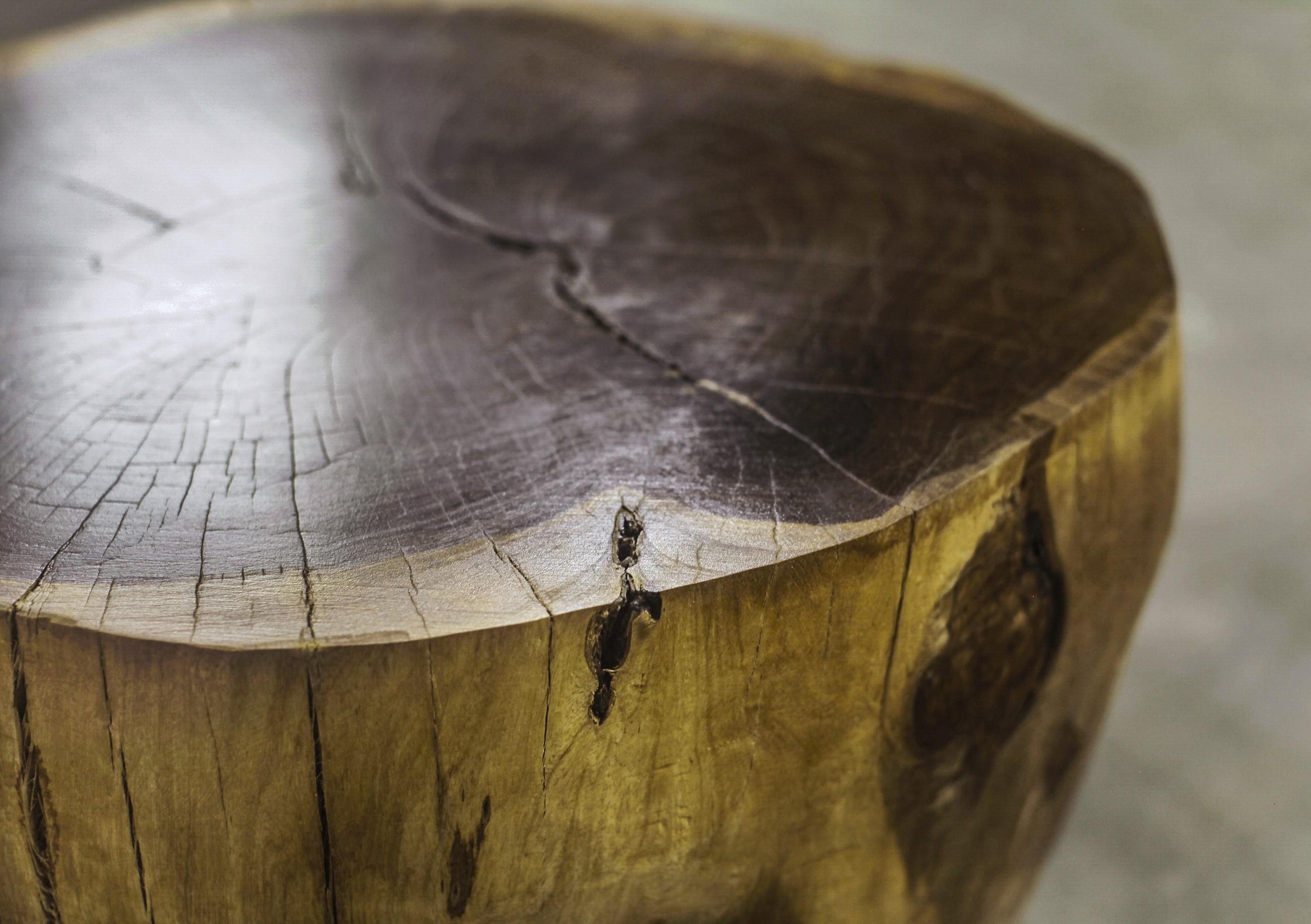 Carved Live Edge Solid Wood Trunk Table ƒ6 by Costantini, Francisco, in Stock For Sale 4