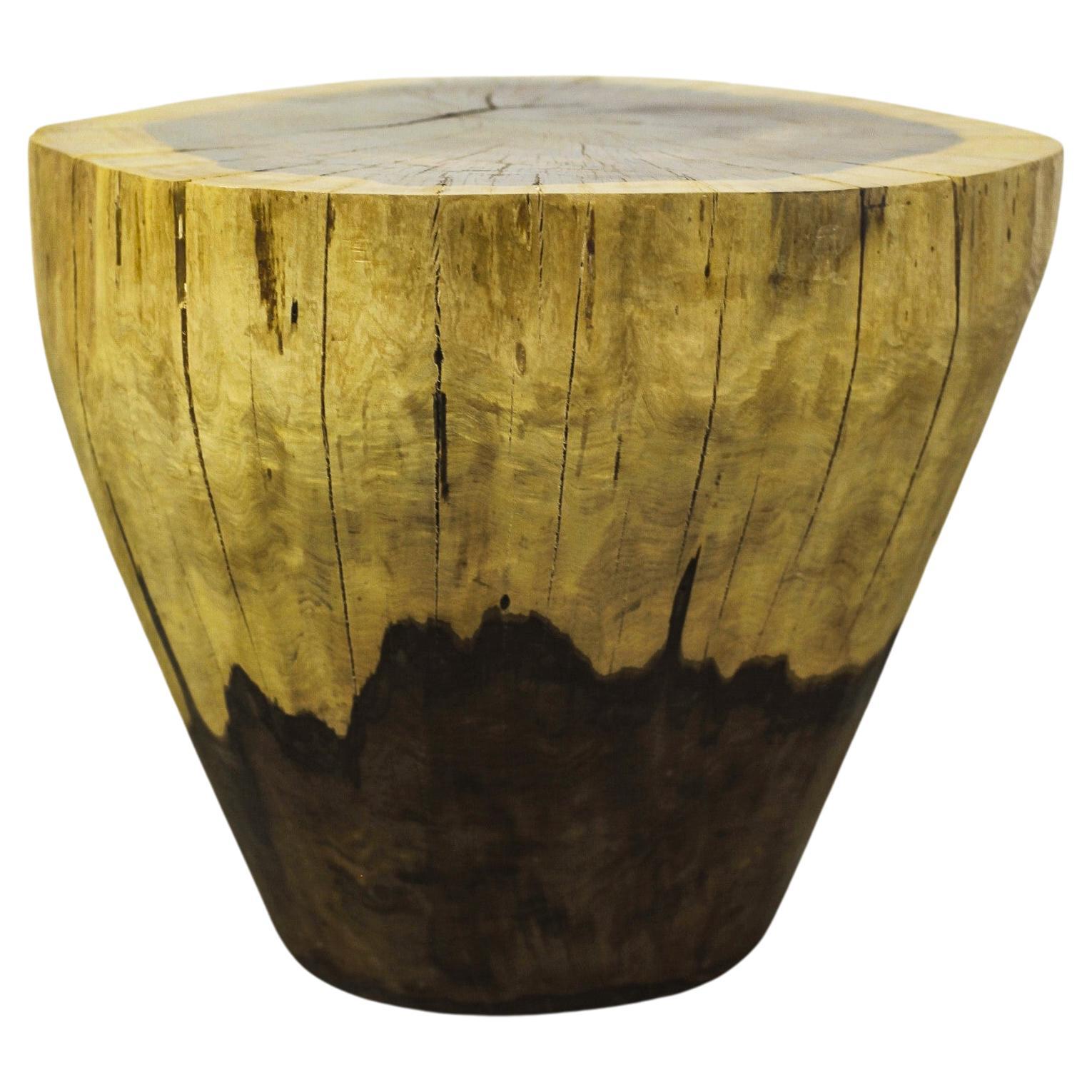 Carved Live Edge Solid Wood Trunk Table ƒ9 by Costantini, Francisco, in Stock For Sale
