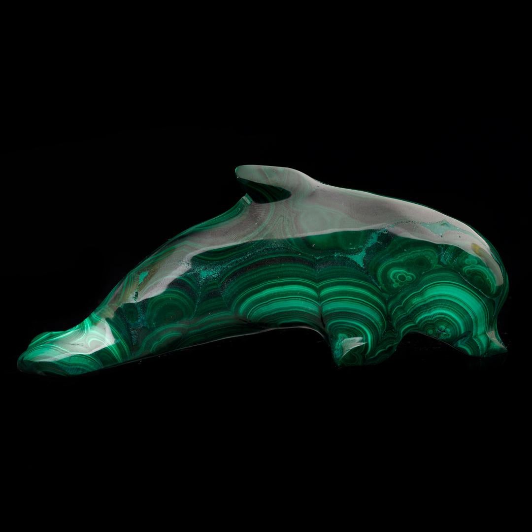 Ce superbe spécimen de carbonate de cuivre vert de la RDC a été sculpté à la main pour former un élégant dauphin et poli à la main pour lui donner un éclat brillant afin de mettre en valeur ses magnifiques couleurs et ses bandes. La malachite a été