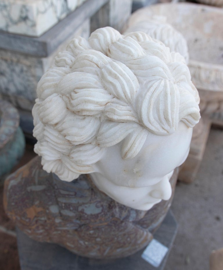European Hand Carved Marble Bust of Beethoven Using Two Types of Marble For Sale