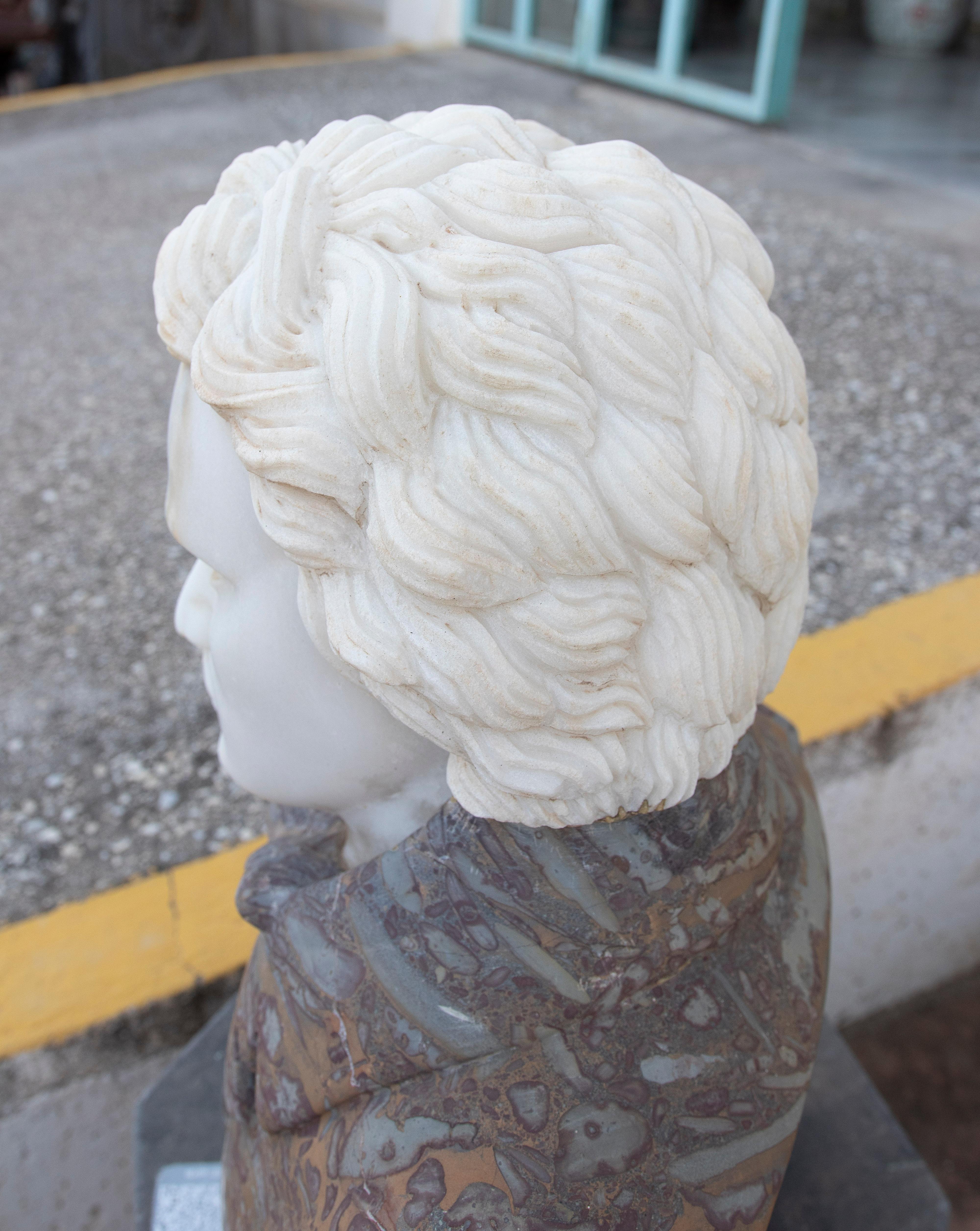 Hand Carved Marble Bust of Beethoven Using Two Types of Marble For Sale 1
