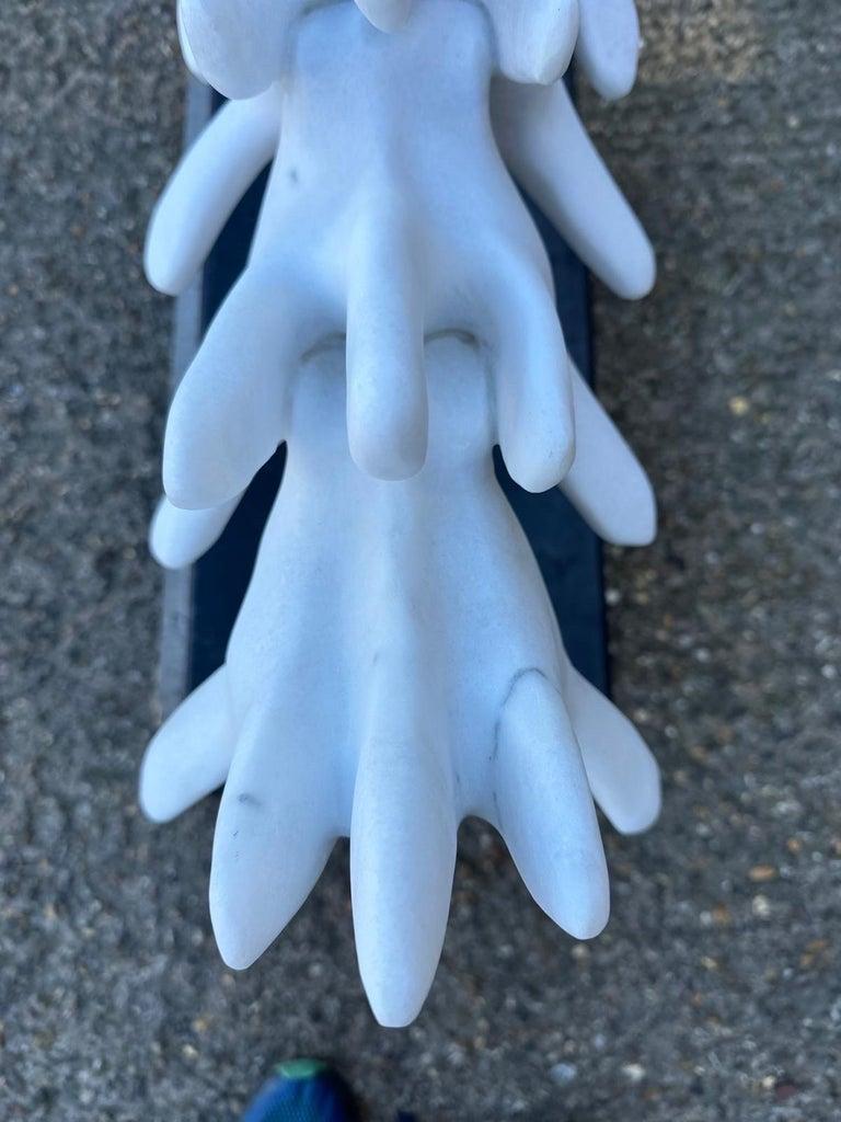 Cette exquise sculpture en marbre, réalisée à la main, capture la beauté complexe d'une vertèbre canine, mettant en valeur les compétences et l'art qui ont présidé à sa création. Fabriqué à partir de marbre de haute qualité, chaque détail reflète la