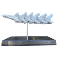 Handgeschnitzte Vertebrae-Skulptur aus Marmor auf Marmorsockel
