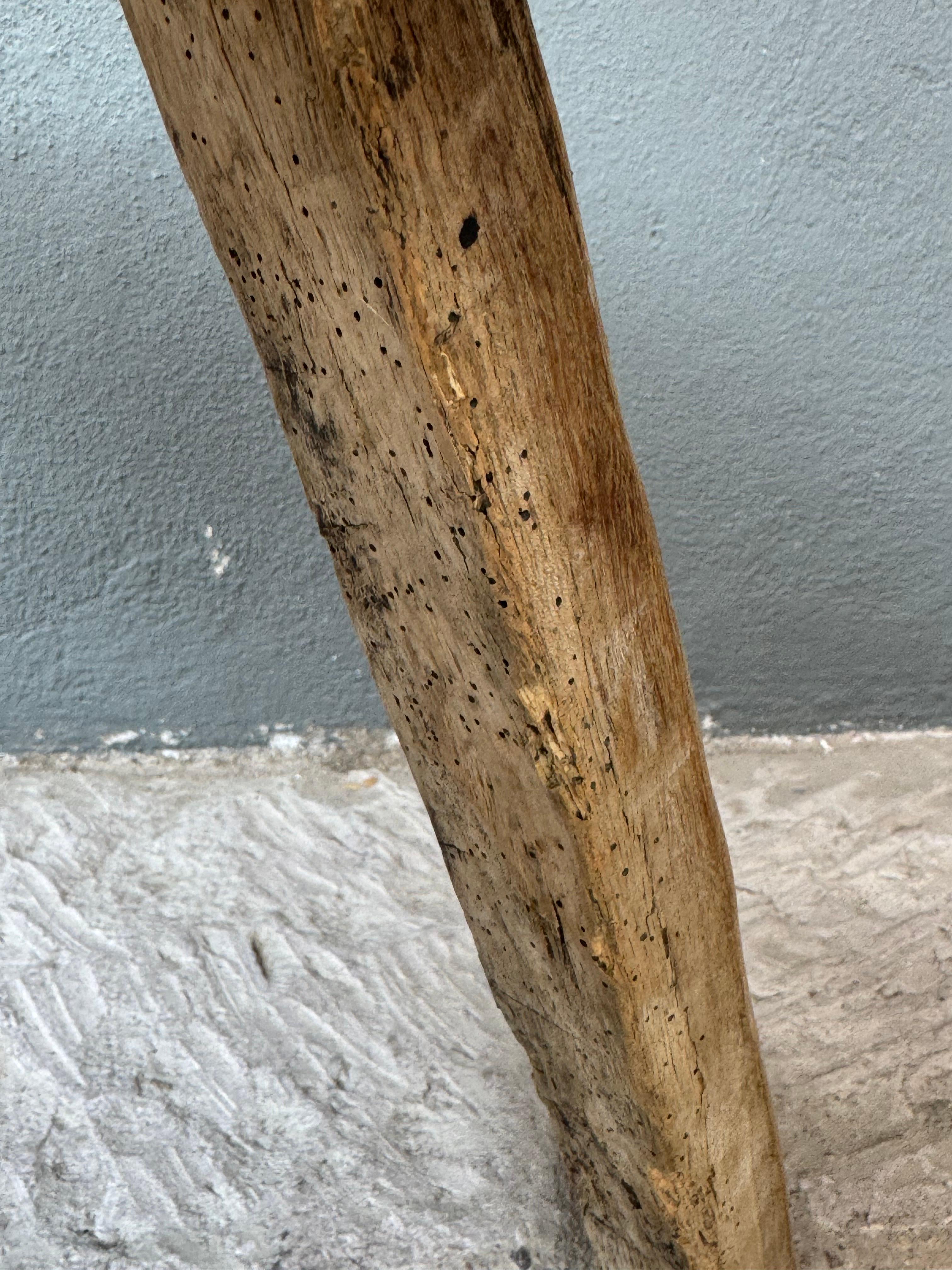 Hand-Carved Mesquite Stool From San Felipe, Guanajuato, Circa 1930´s. 2