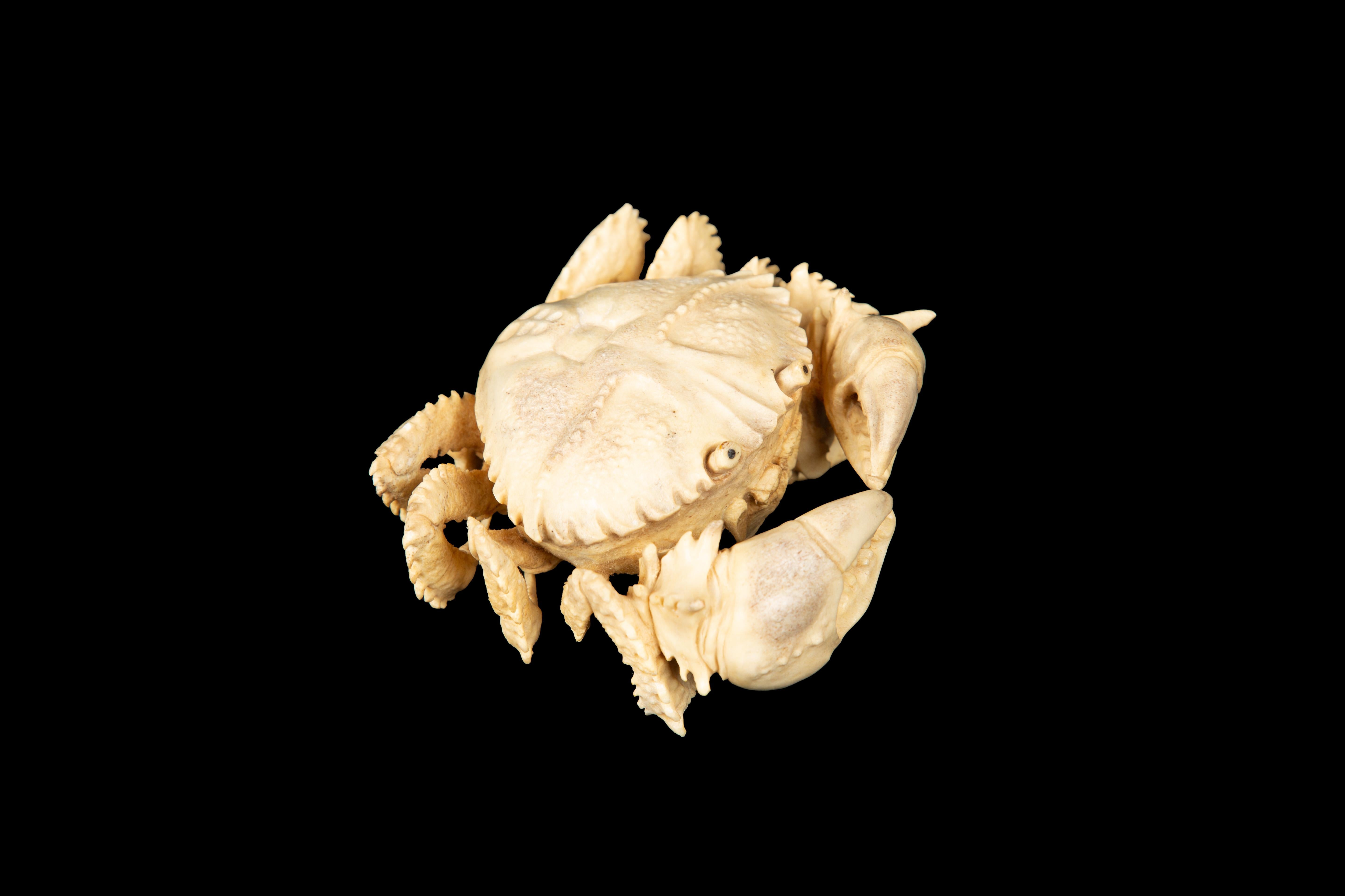 Hand-Carved Moose Antler Crab In New Condition For Sale In New York, NY