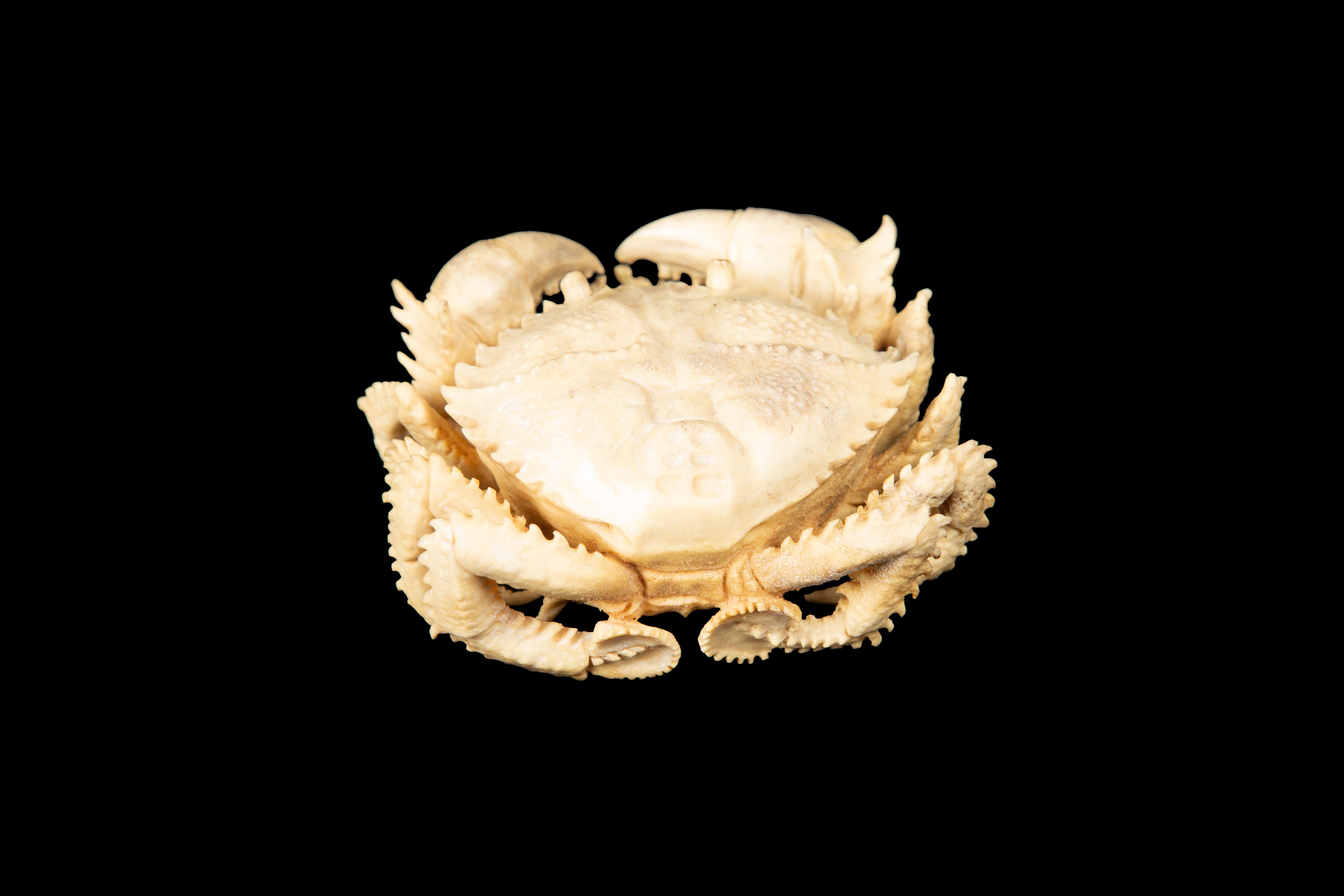 Contemporary Hand-Carved Moose Antler Crab For Sale