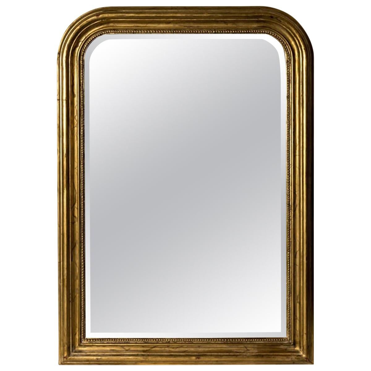 Hand Carved Napoleon III Style Louis Philippe Mirror, Medium For Sale