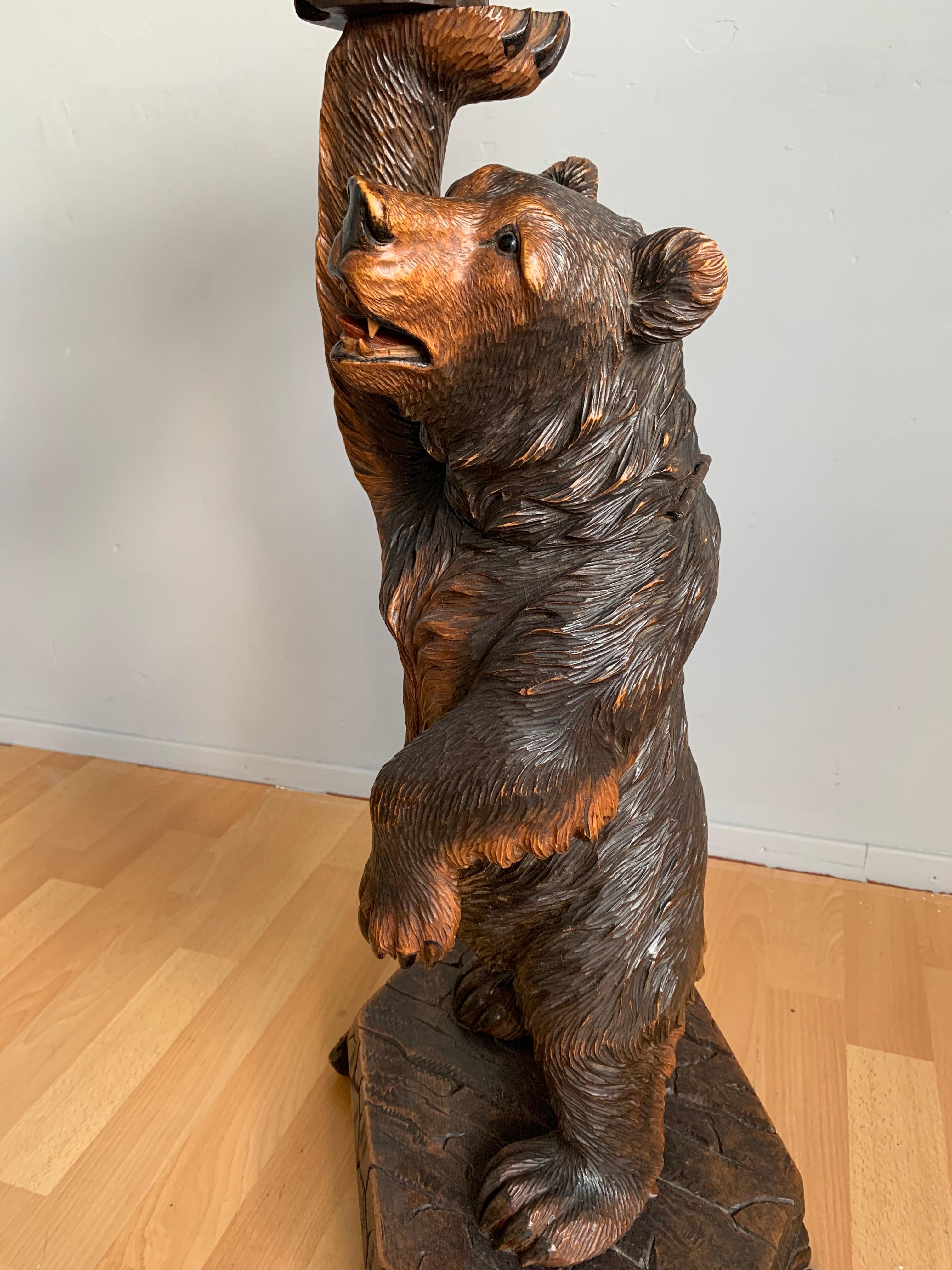 Hand Carved Nutwood Swiss Black Forest Bear Table Stand with Hinging Head 8