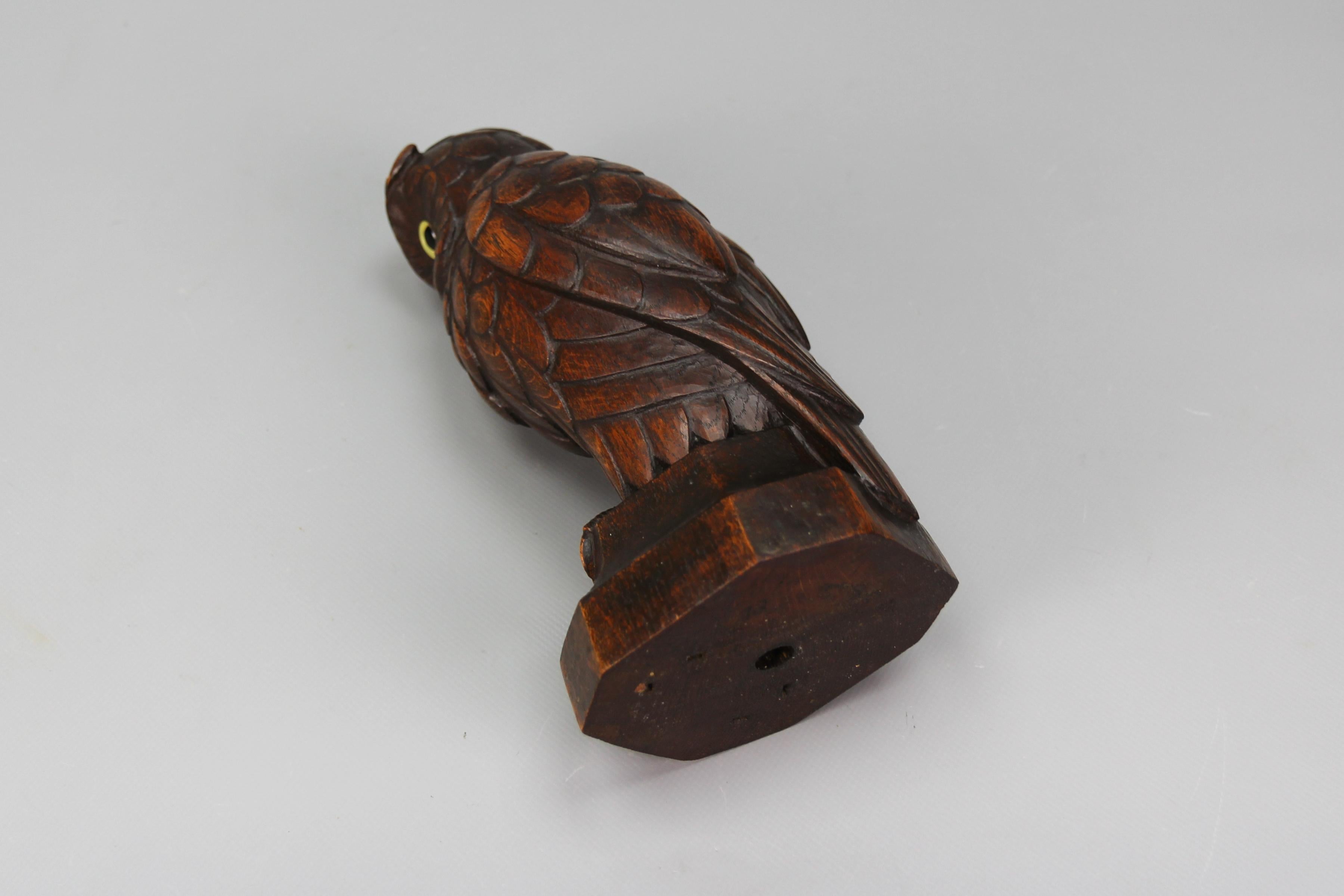 Hand-Carved Oakwood Owl Sculpture with Glass Eyes, Germany, 1930s For Sale 9